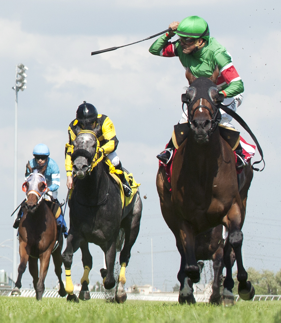 Tower of Texas wins the 2015 King Edward Stakes