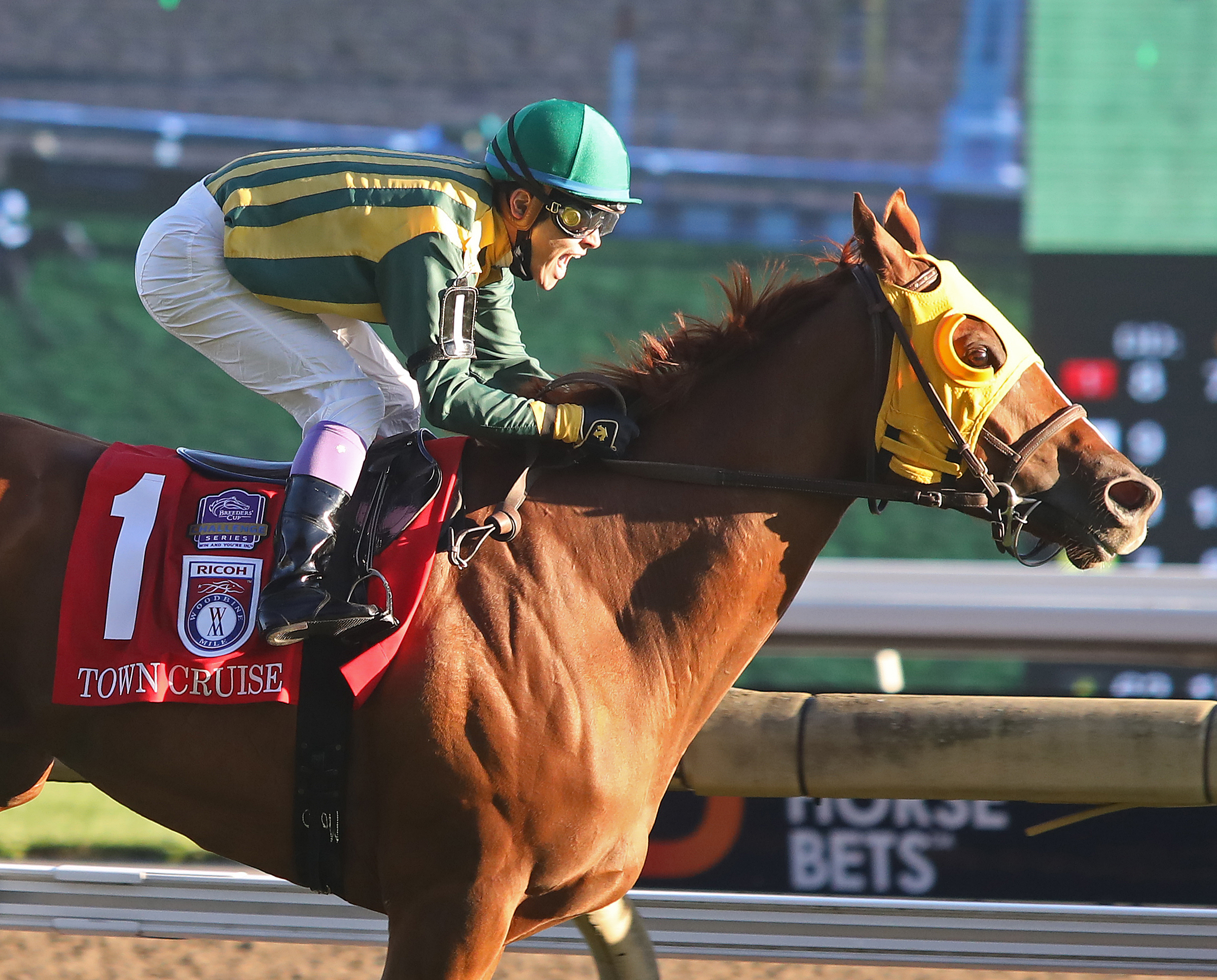 Town Cruise/Woodbine Mile