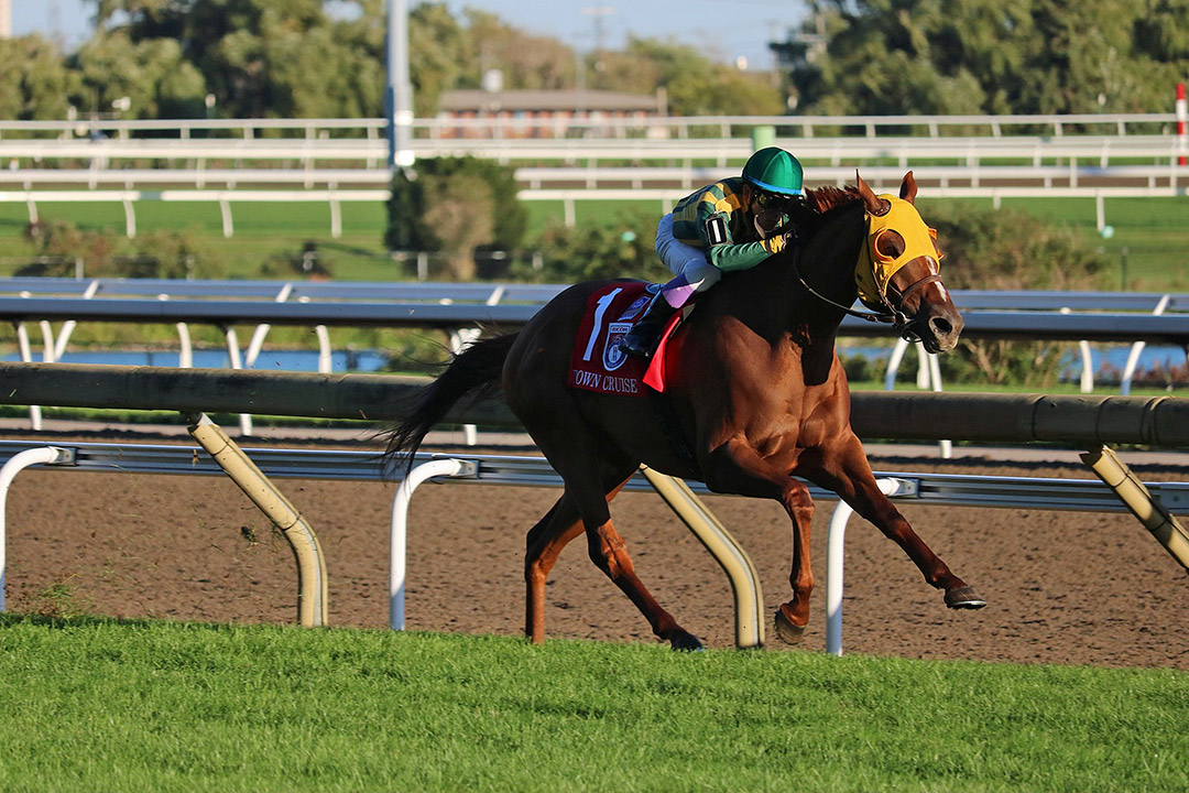 Town Cruise wins the 2021 Woodbine Mile at Woodbine Racetrack