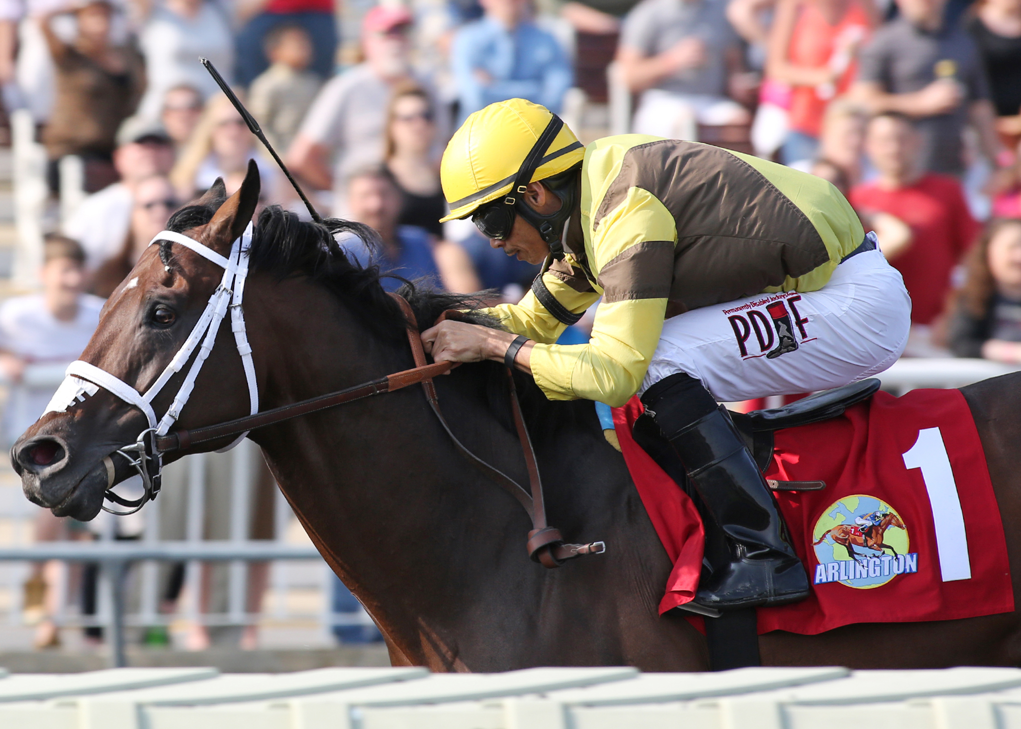 Trace Creek wins the Hanshin Cup