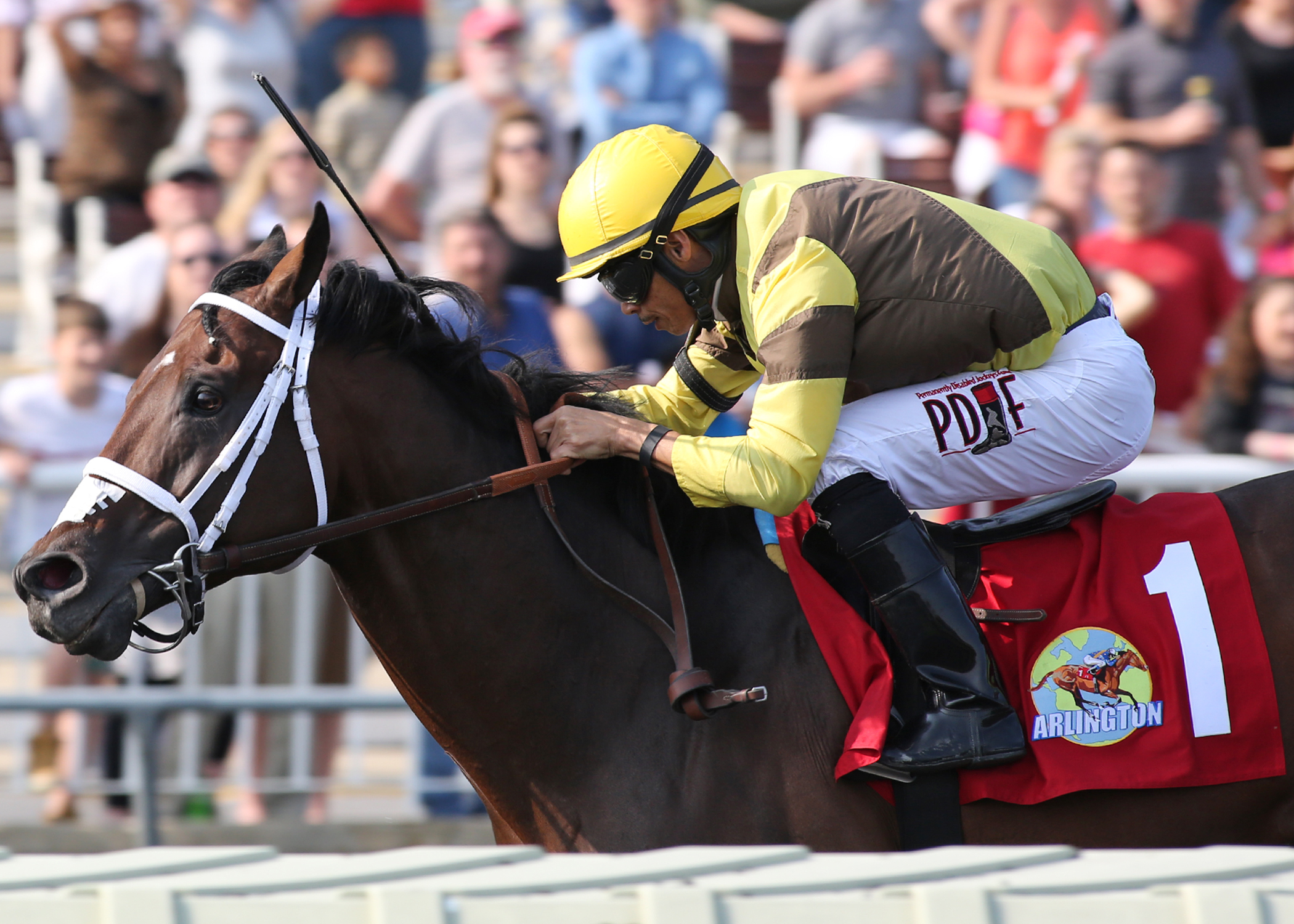 Trace Creek wins the 2016 Hanshin Cup