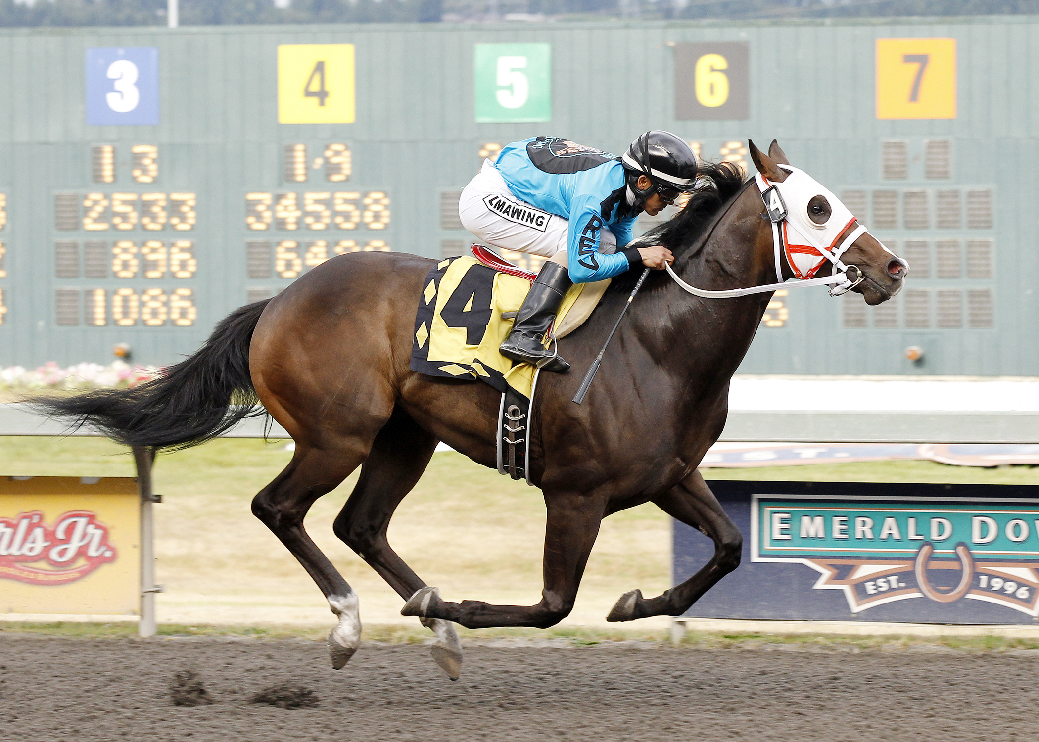 Trackattacker wins the Emerald Express