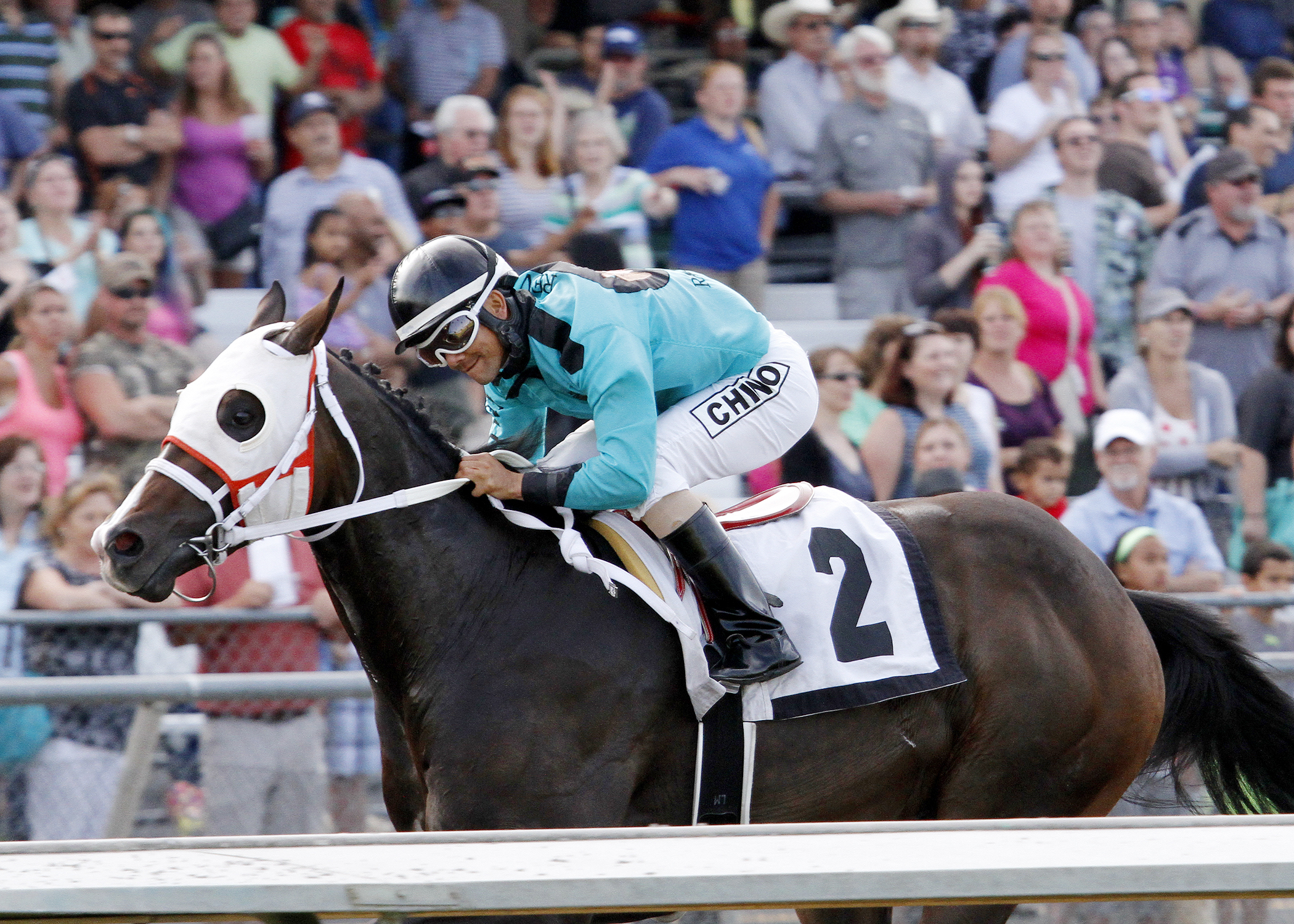 Trackattacker wins the WTBOA Lads Stakes