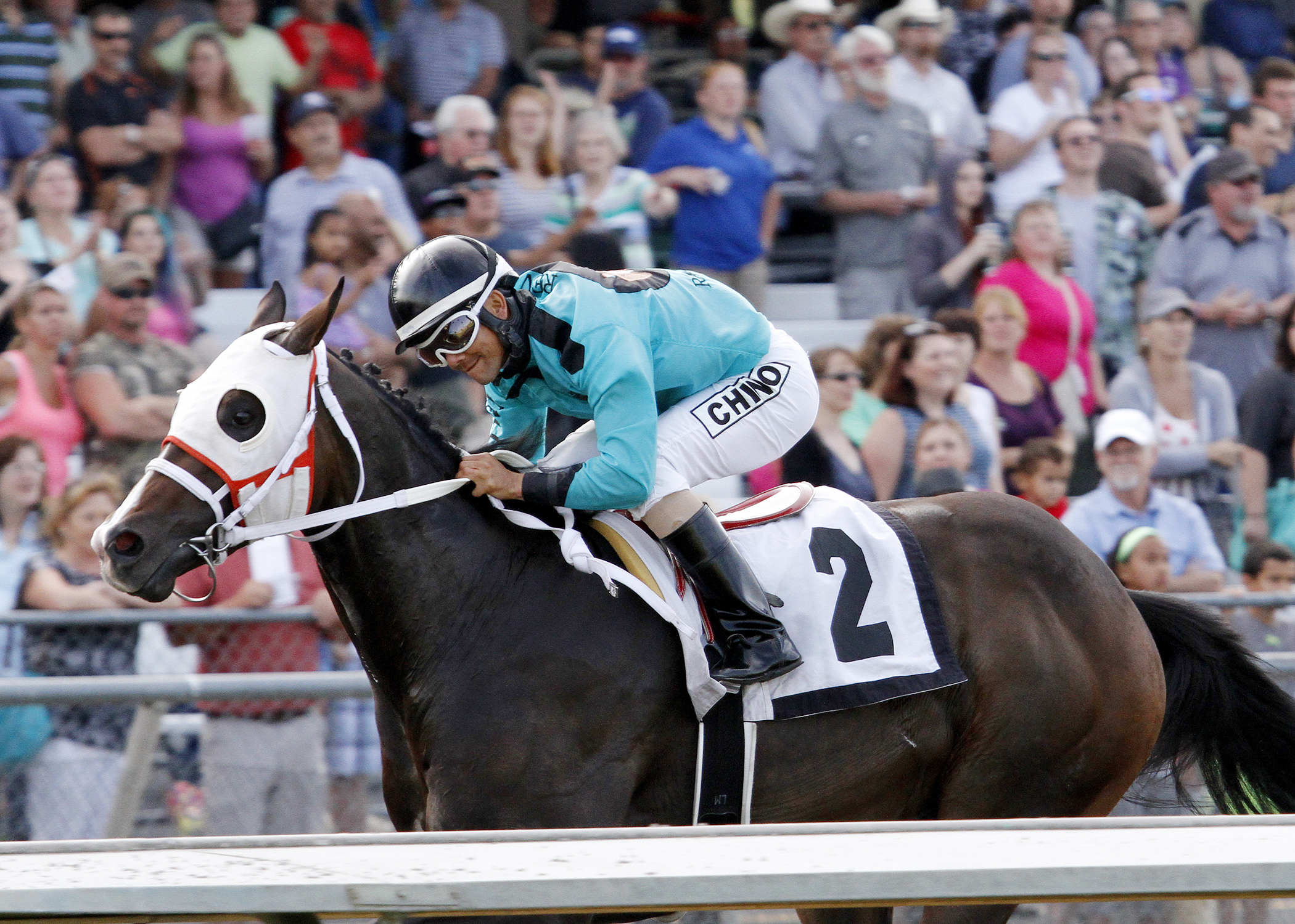 Trackattacker wins the WTBOA Lads Stakes