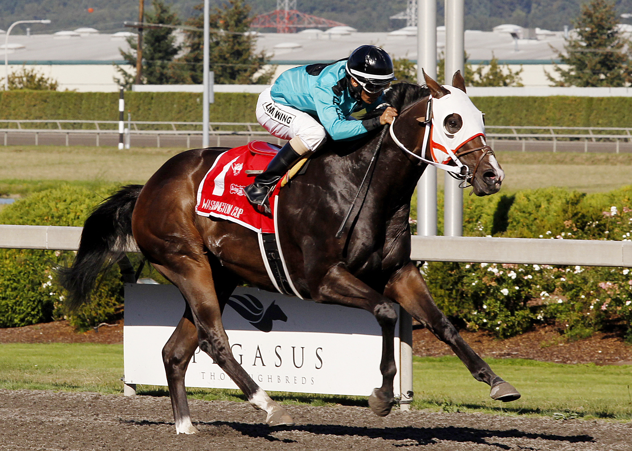 Trackattacker wins the Dennis Dodge Stakes