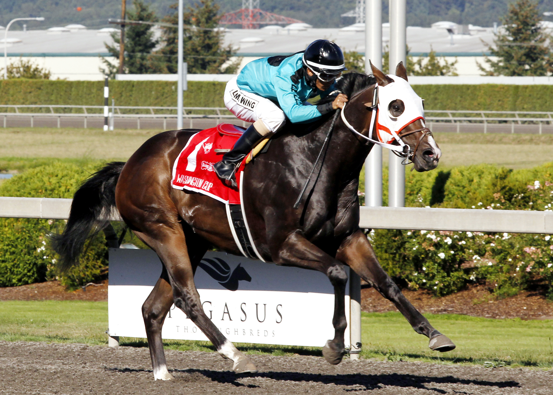 Trackattacker wins the 2014 Dennis Dodge Stakes