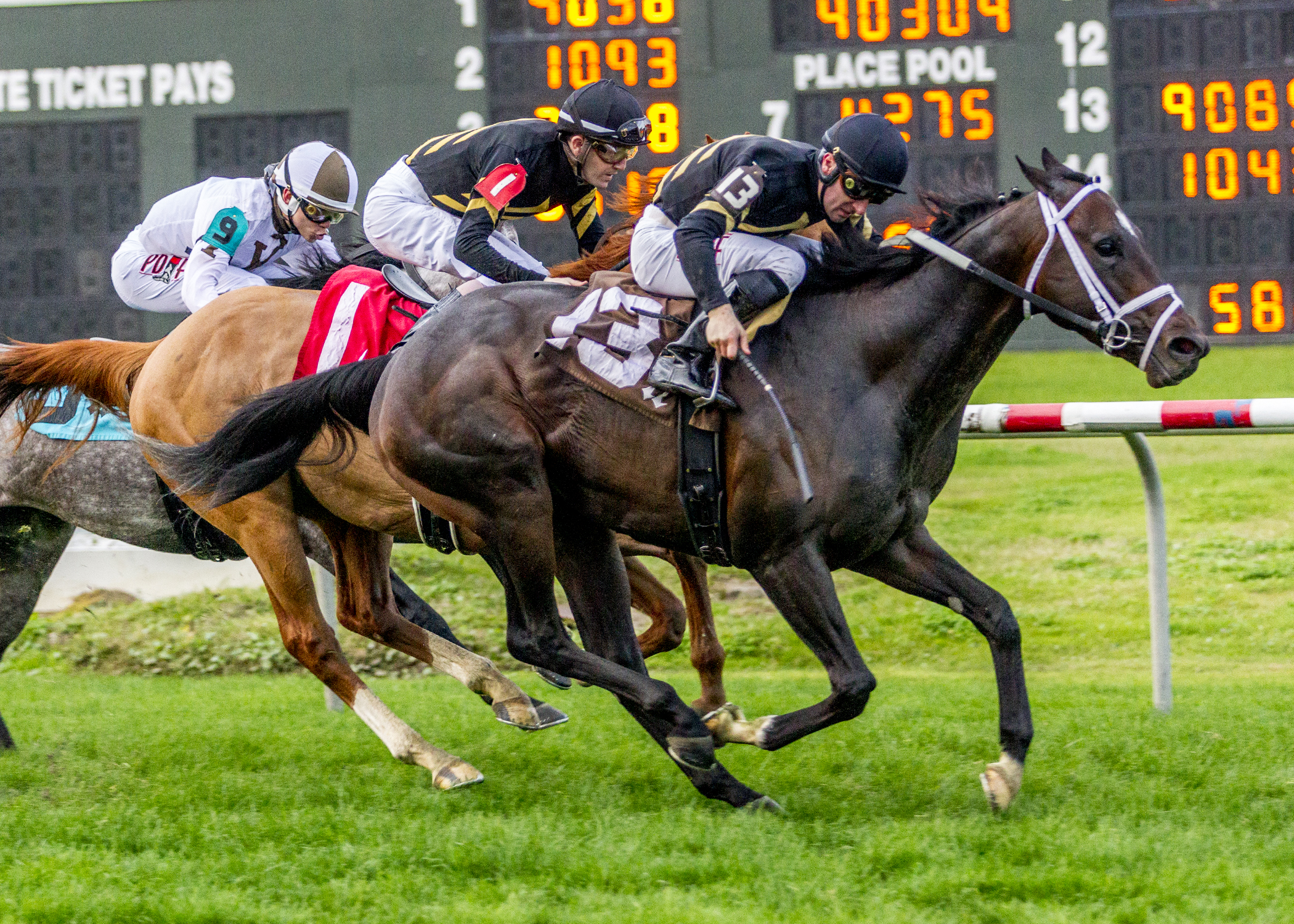 Tracksmith wins the 2019 Woodchopper Stakes