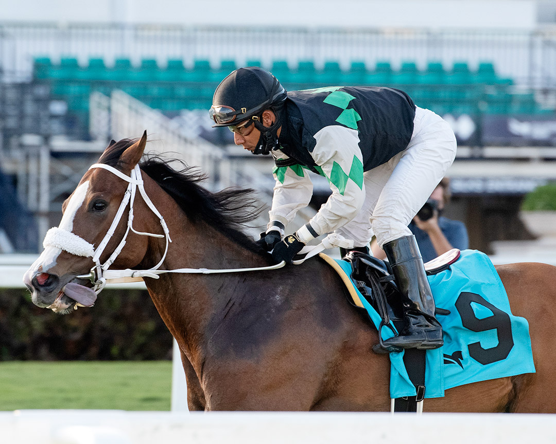 Tracy Ann's Legacy wins a Dec. 2 claiming race at Gulfstream Park