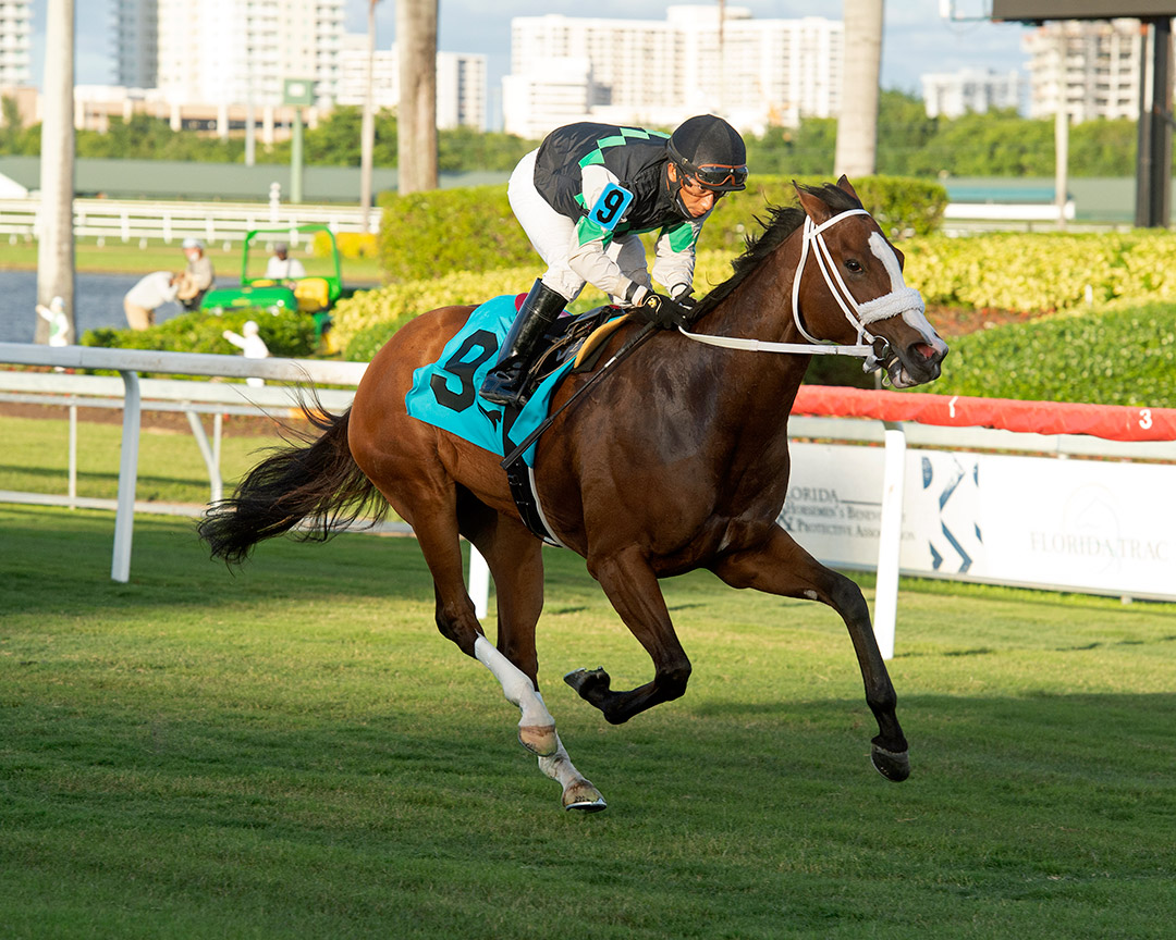 Tracy Ann's Legacy wins a December 2020 allowance at Gulfstream Park
