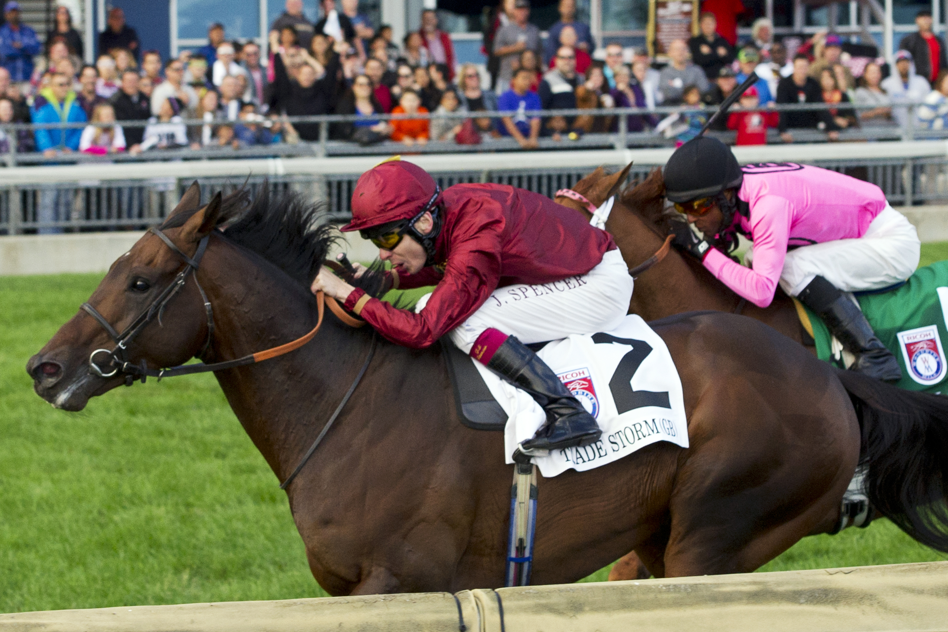 Trade Storm wins the Woodbine Mile