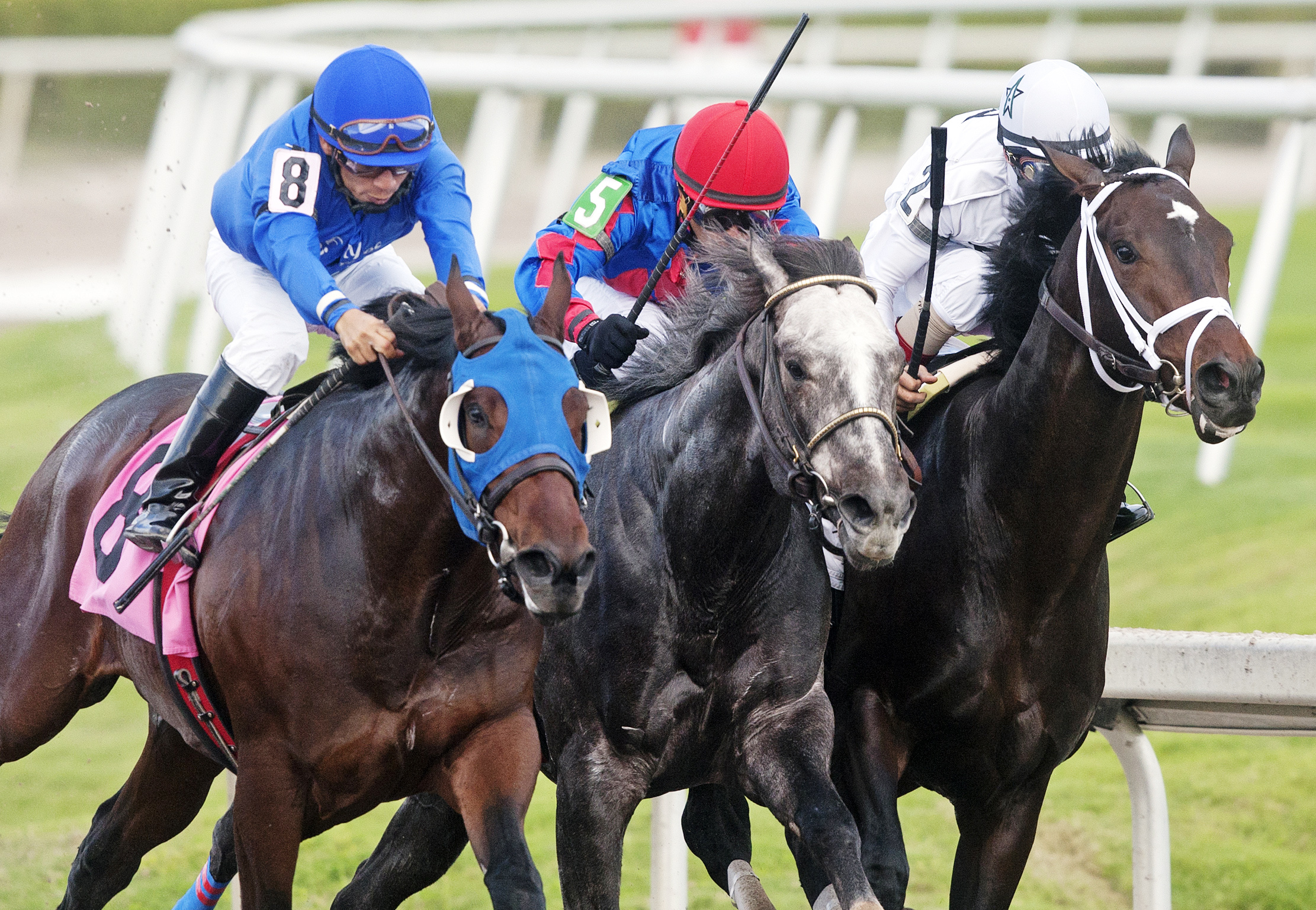 Flashy Jewel finishes second in a maiden race