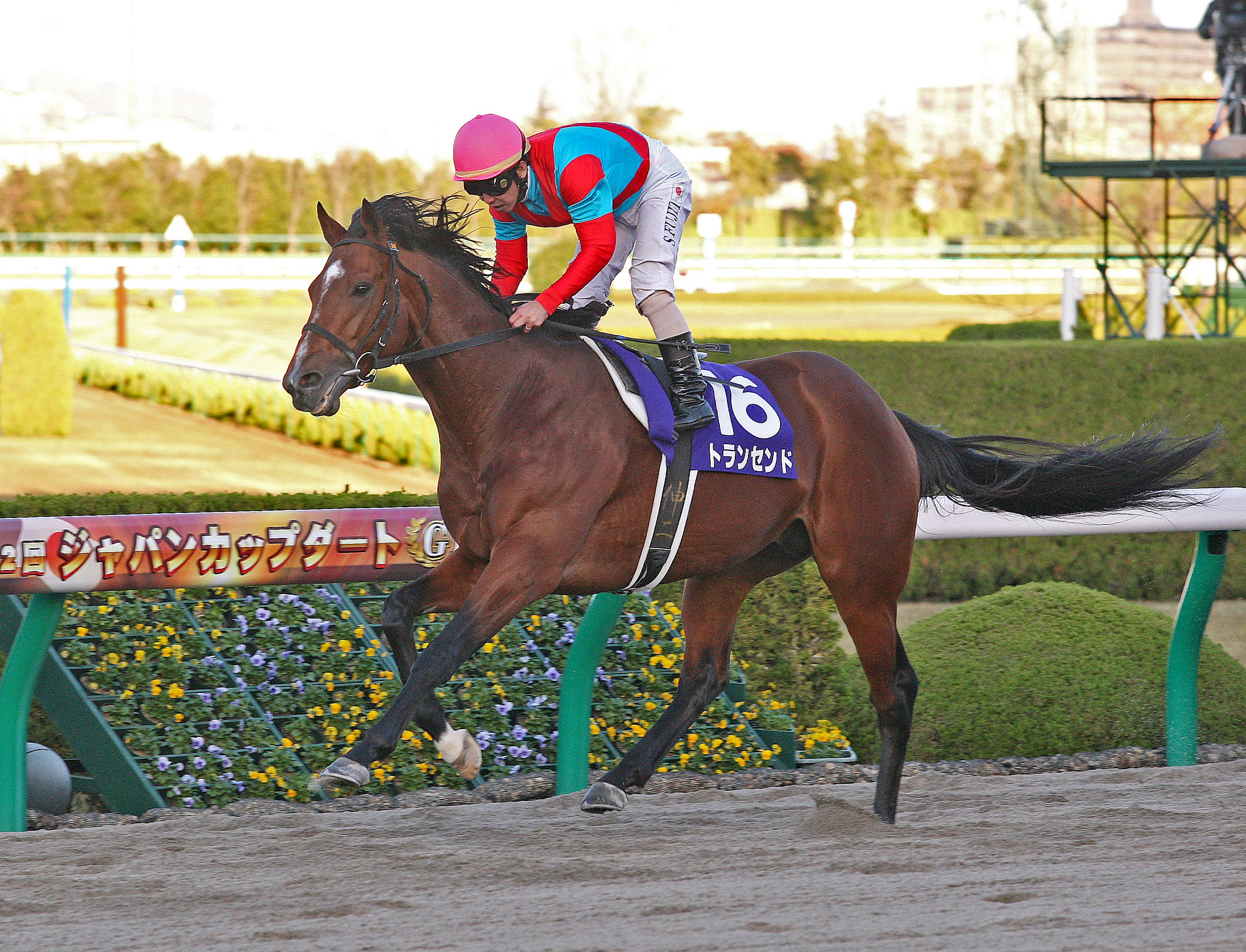 Transcend 12-4-2011