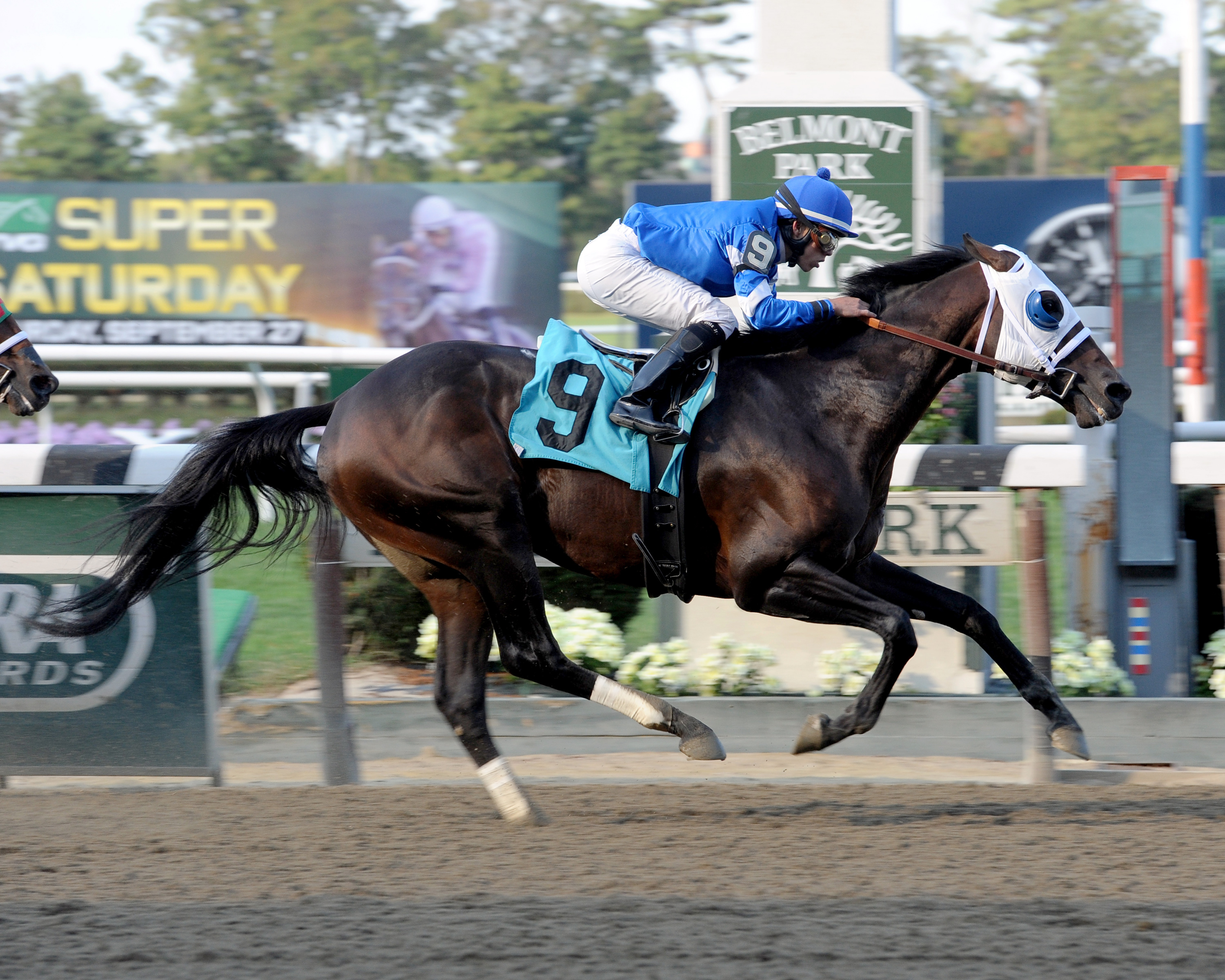 Transparent wins an allowance