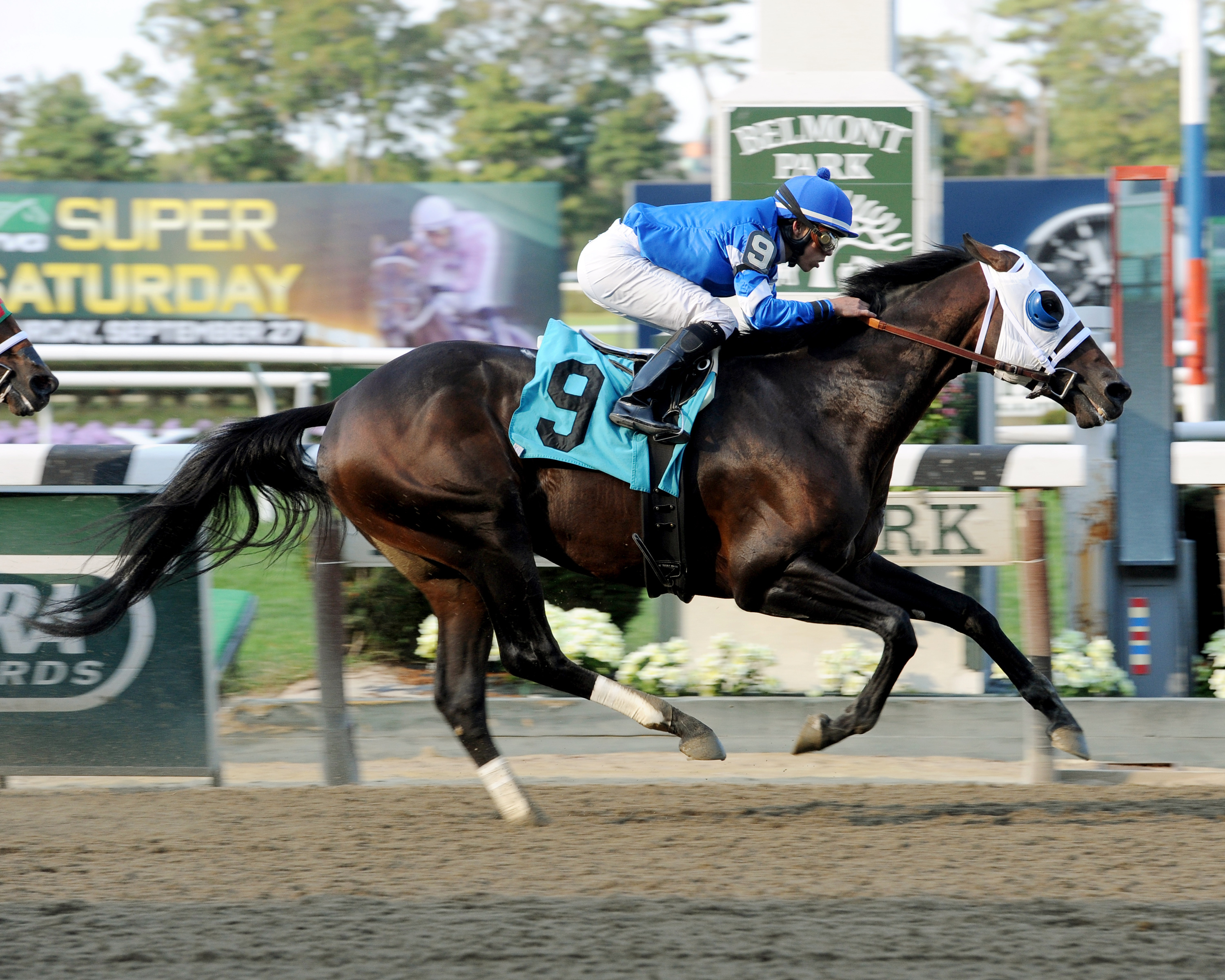 Transparent sets a track record in an allowance