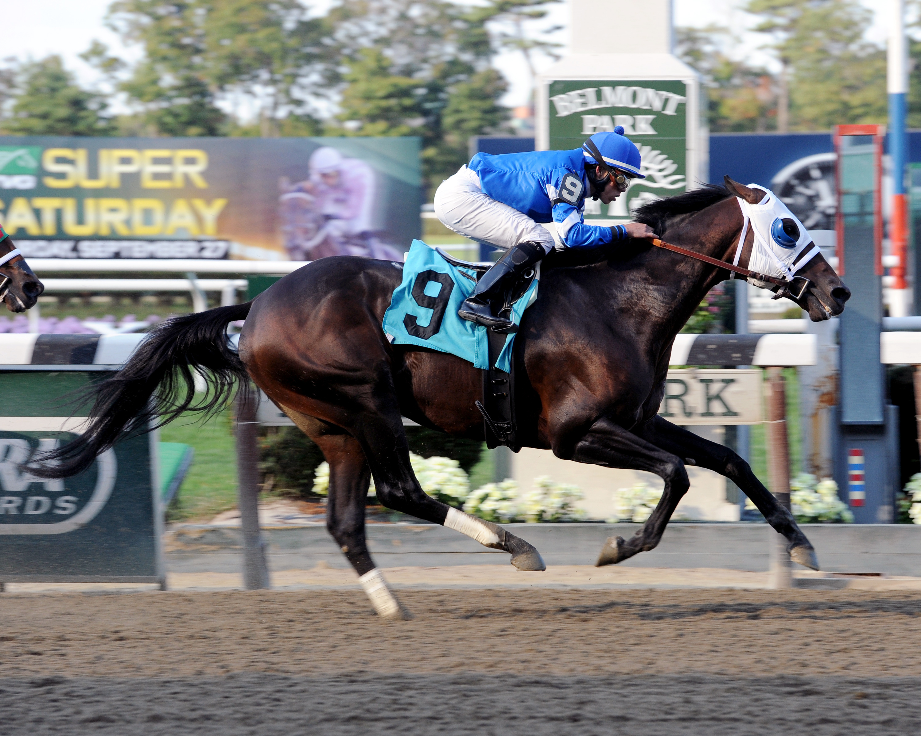 Transparent wins an optional claiming race
