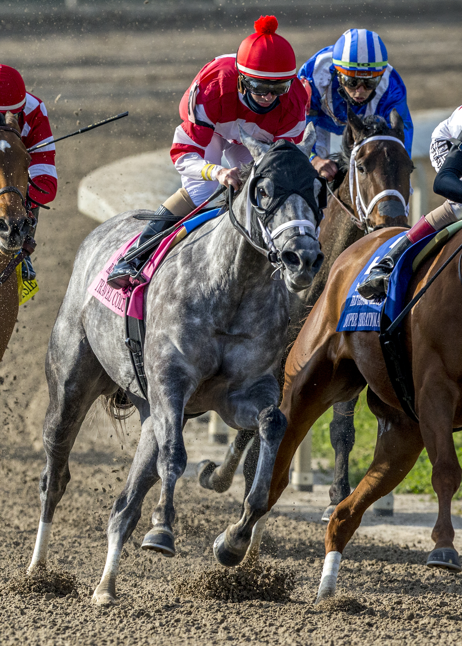 Travel Column wins Fair Grounds Oaks 3-20-2021