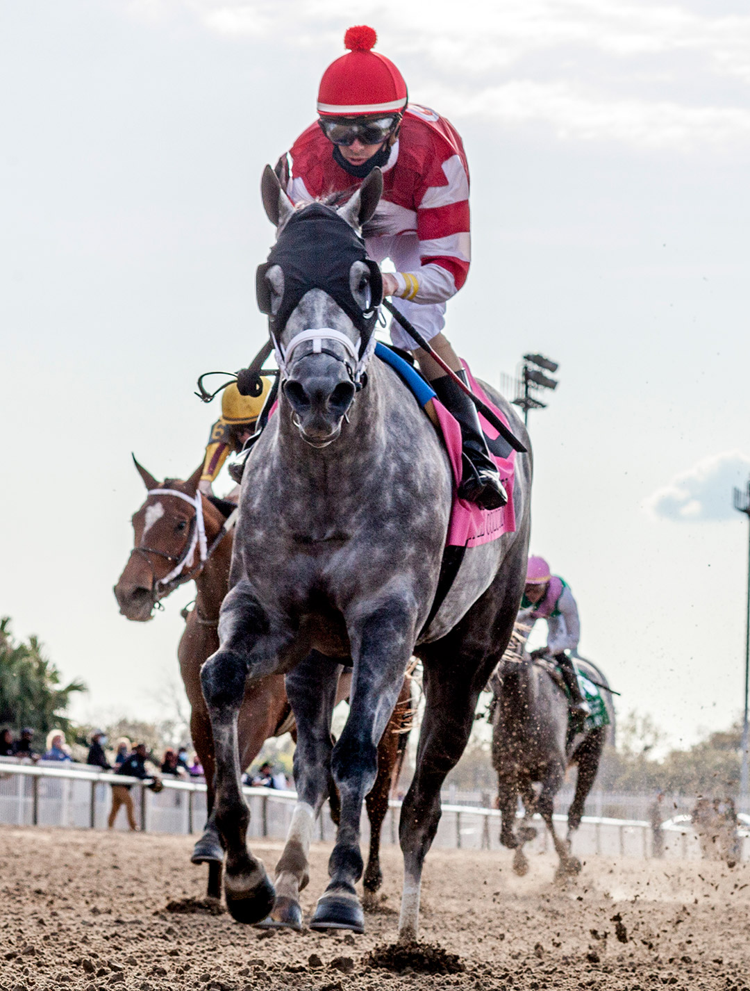 Travel Column wins the Fair Grounds Oaks at Fair Grounds