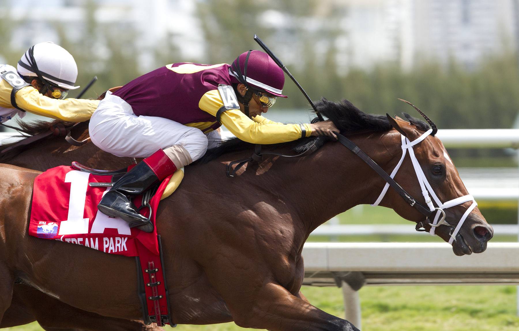 Travelin Man/Sir Shackleton