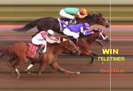 Travers 2012 dead heat, Alpha (foreground), Golden Ticket