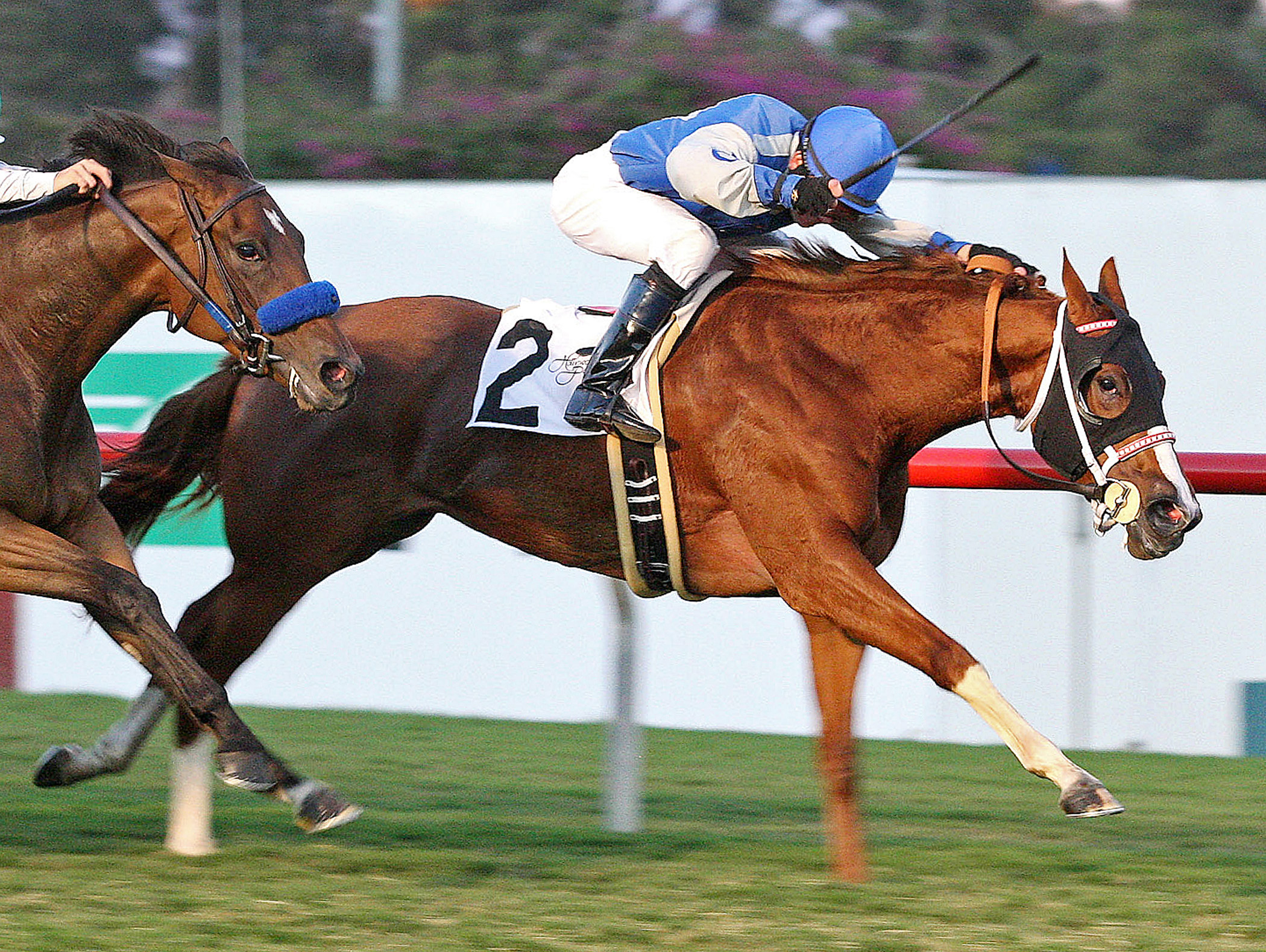 Travesura, Miesque Stakes