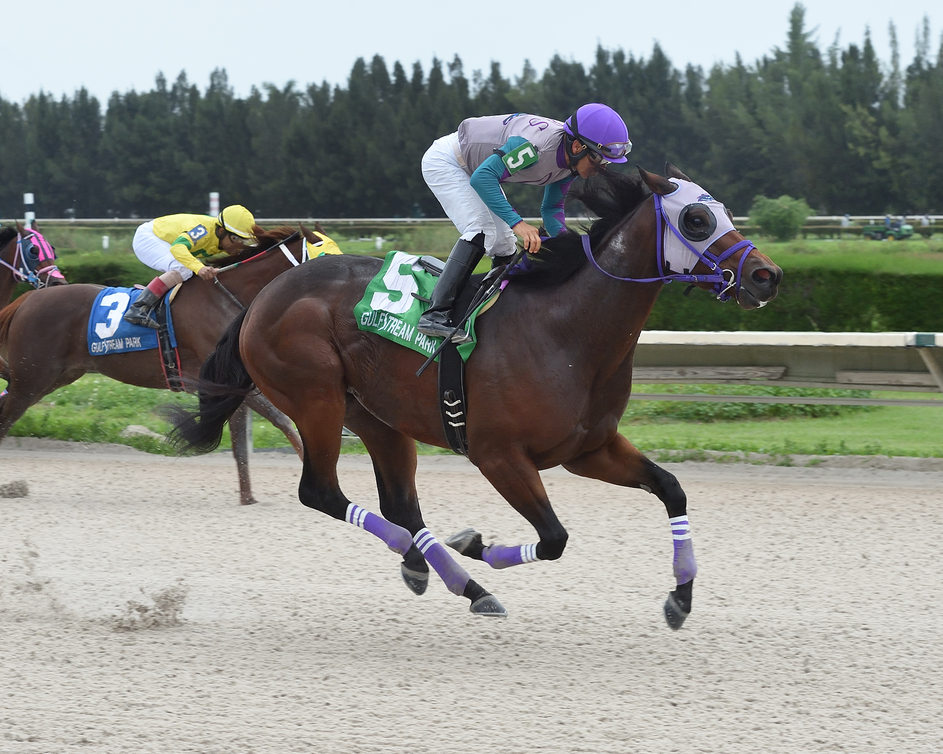 Travy Boy wins the 2019 Sunshine Millions Sprint Preview