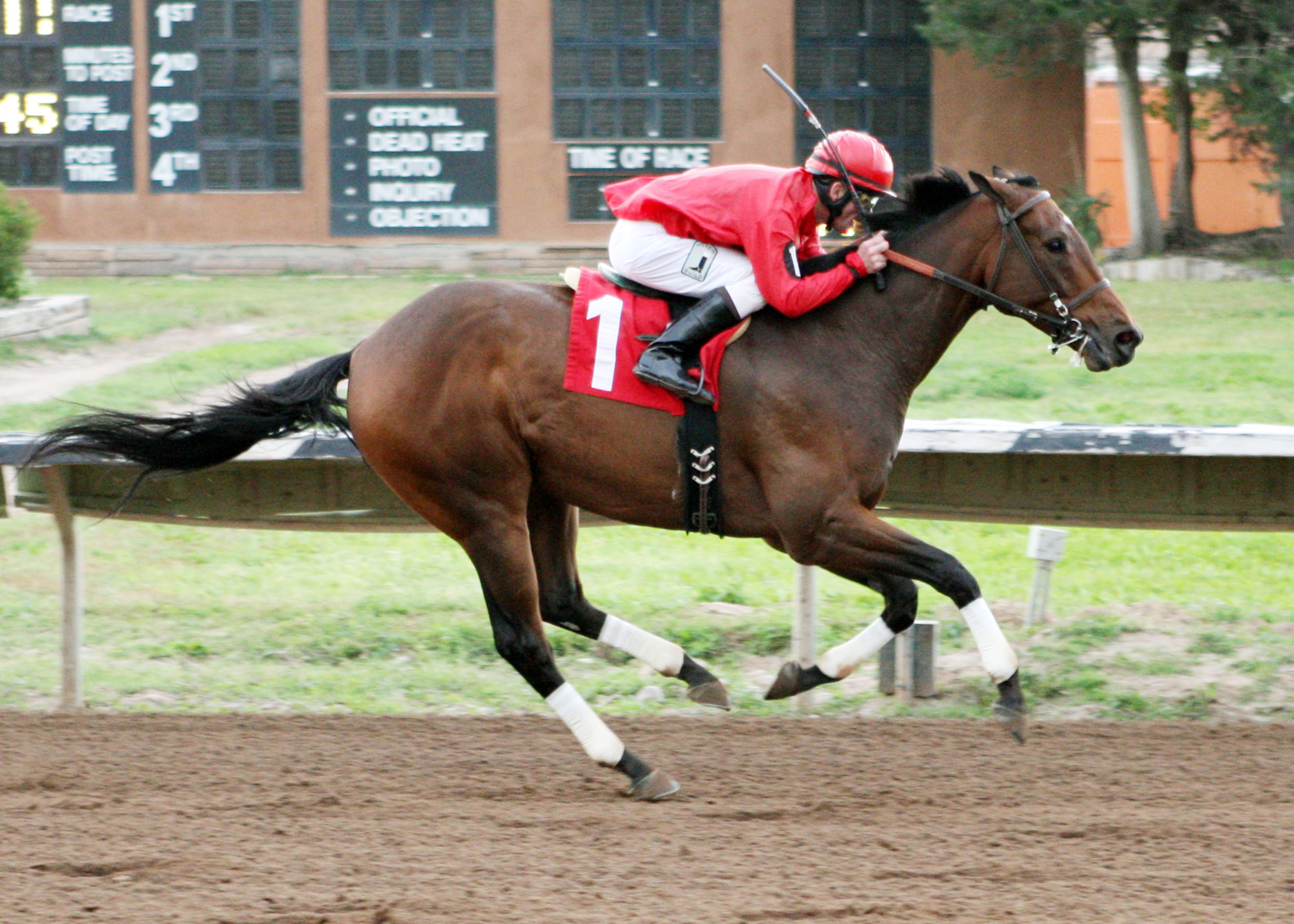 Treacherous wins the New Mexico State Fair Handicap