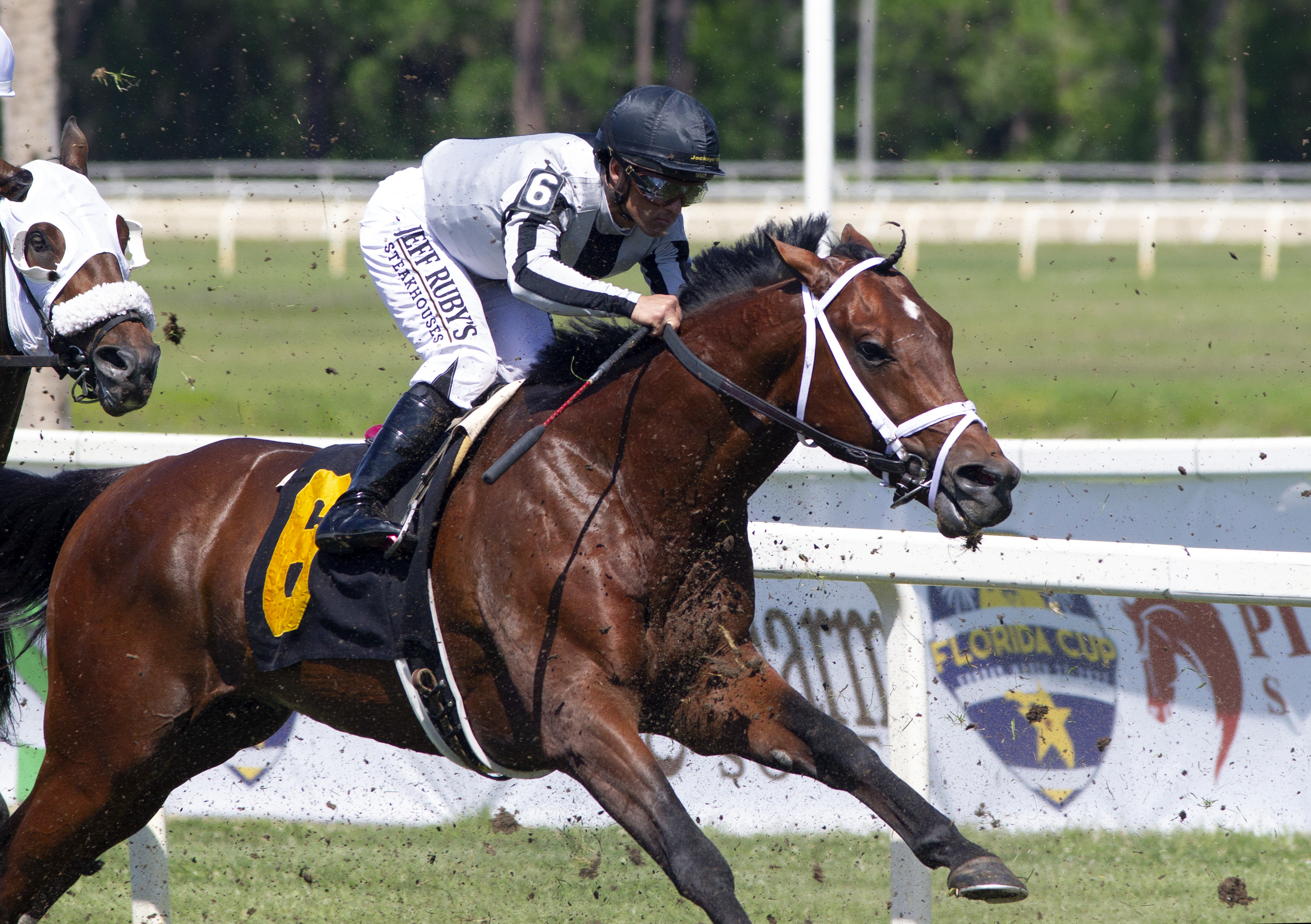 Treasure King, Sophomore Turf Stakes, Tampa