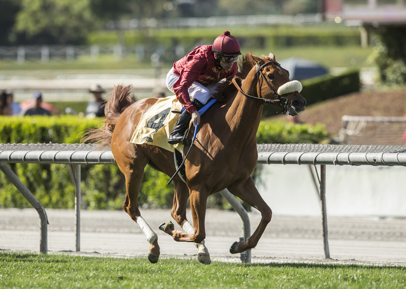 Treasuring wins the 2018 Senorita Stakes