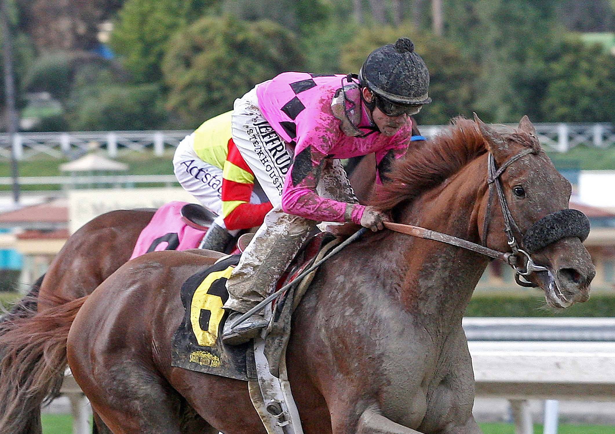 Treasury Bill, maiden win