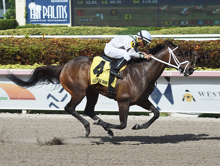 Trenchtown Cat wins the 2019 Ana T Stakes