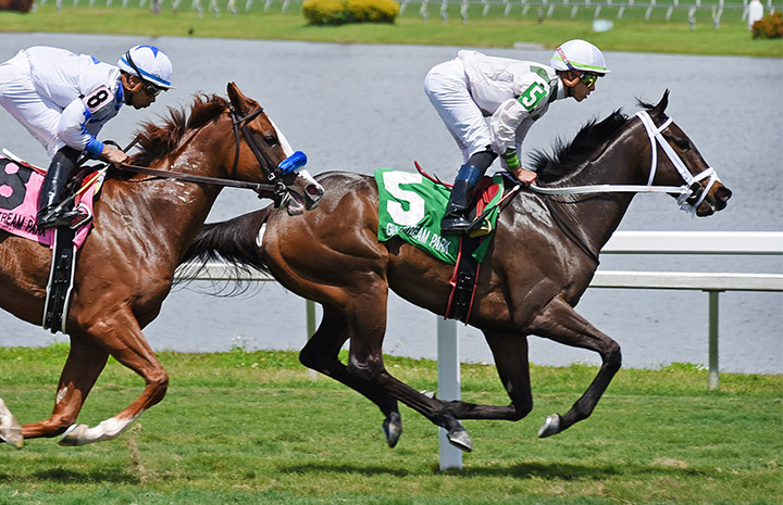 Trenchtown Cat wins the Sanibel Island Stakes