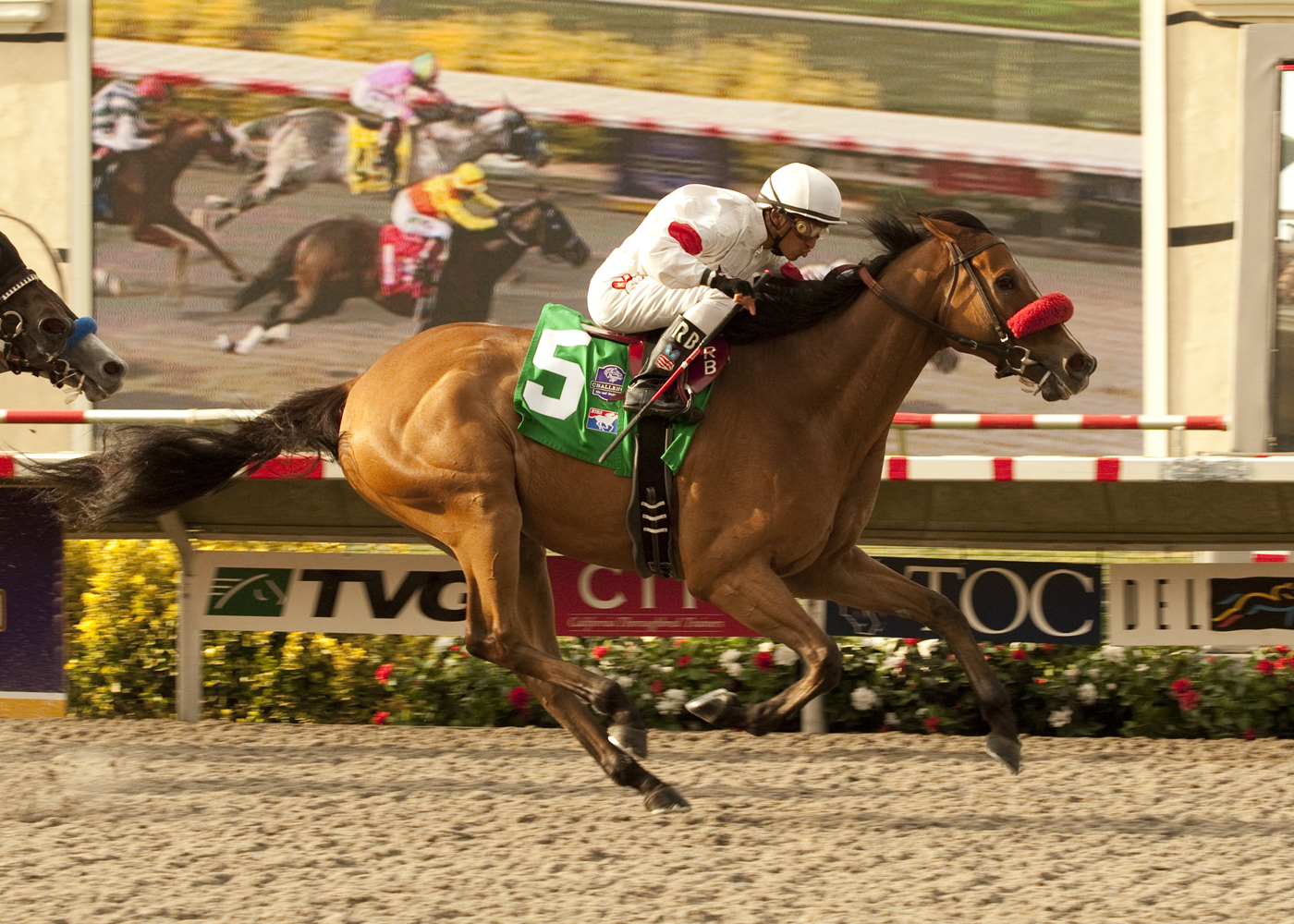 Tres Borrachos/San Diego Handicap