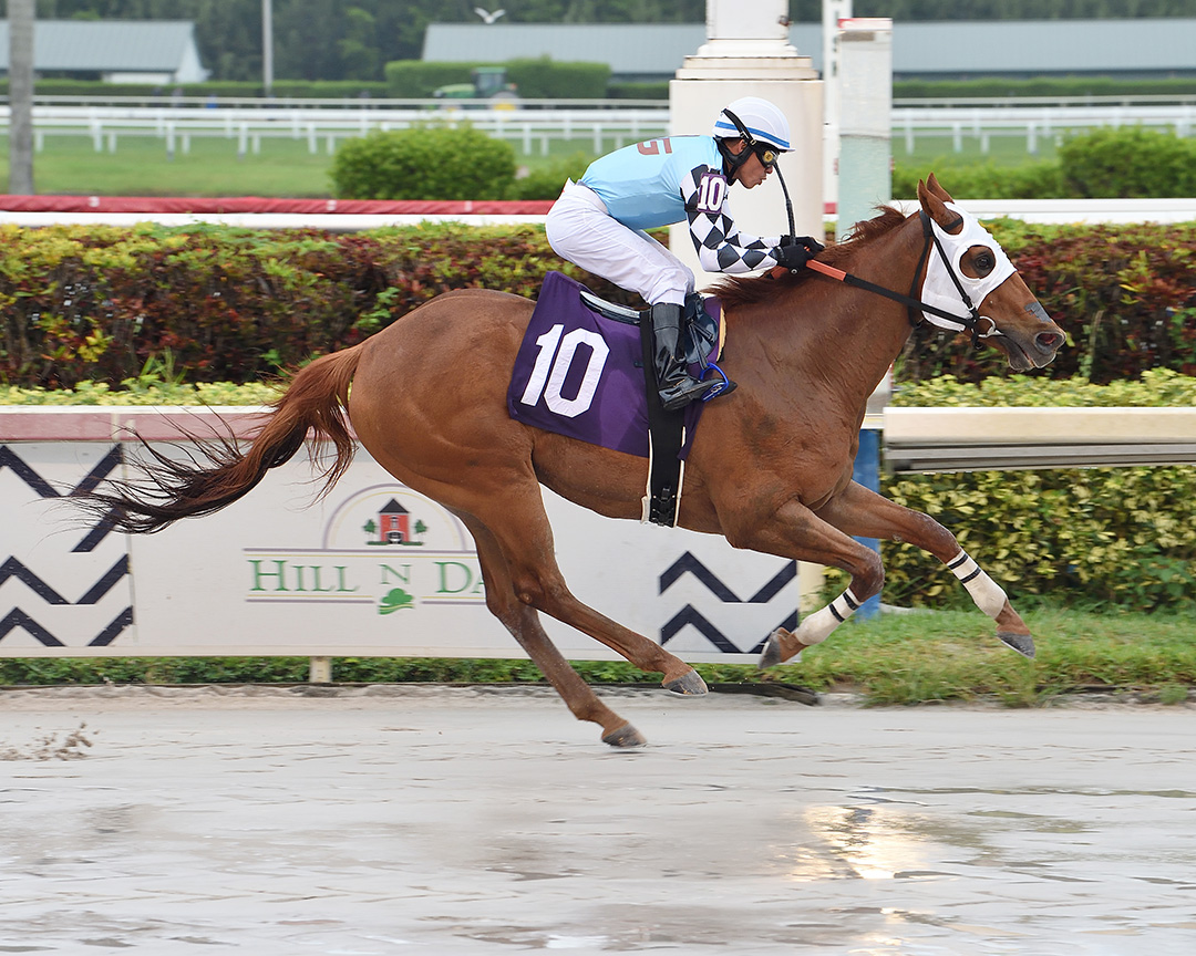 Trev wins a May 10 allowance at Gulfstream Park