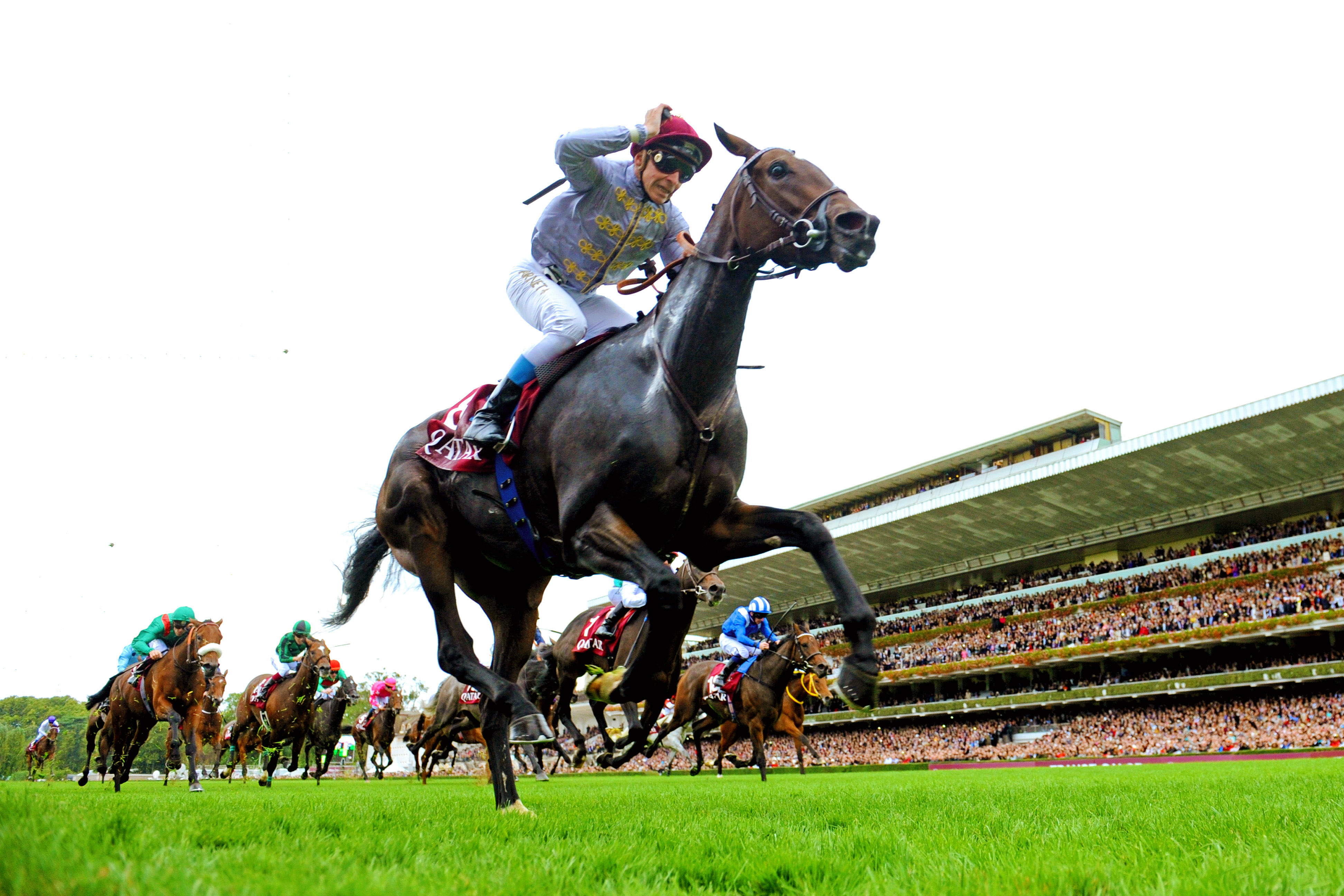 Treve wins the Qatar Prix de l'Arc de Triomphe