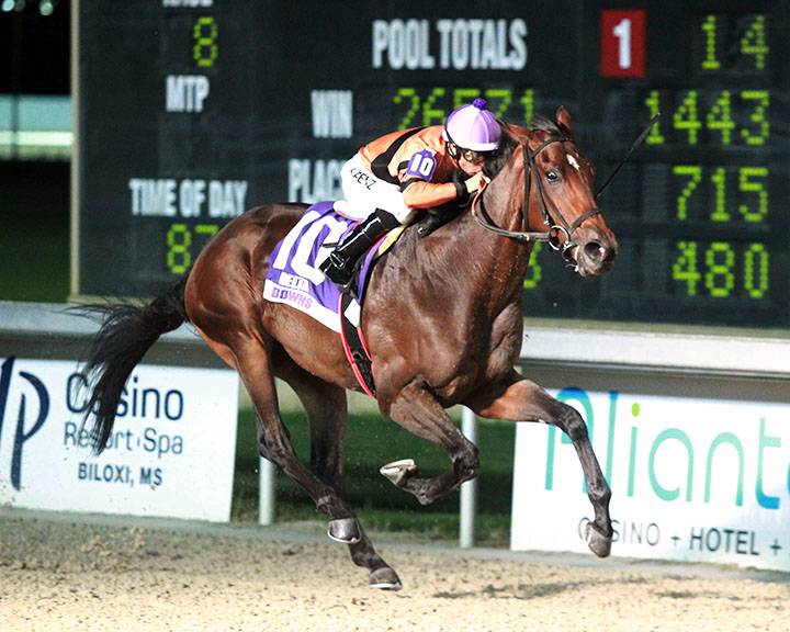 Trevilion wins the 2019 Gold Cup Stakes at Delta Downs