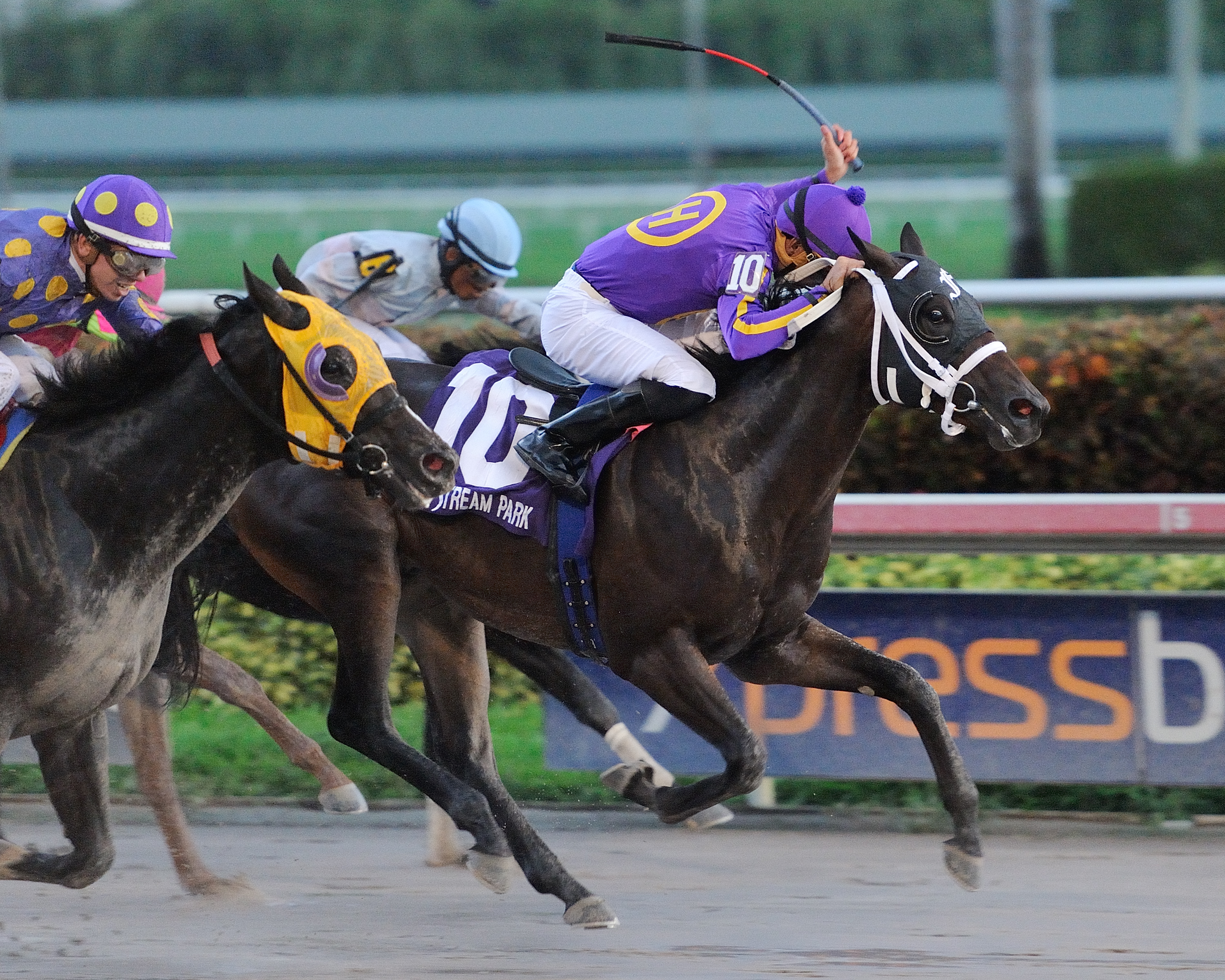Tribal Drama wins 2015 Affirmed