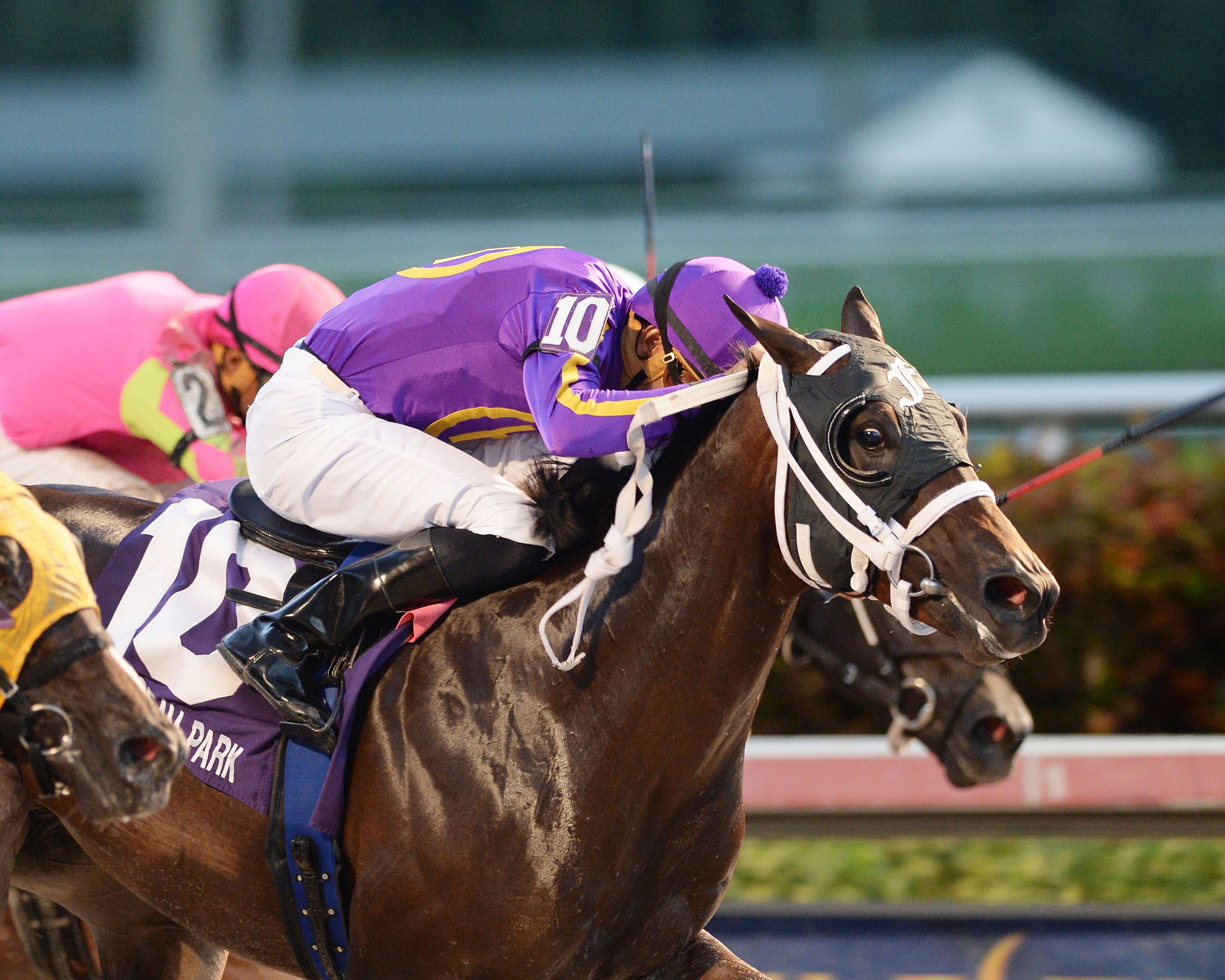 Tribal Drama wins the Florida Sire Affirmed Stakes