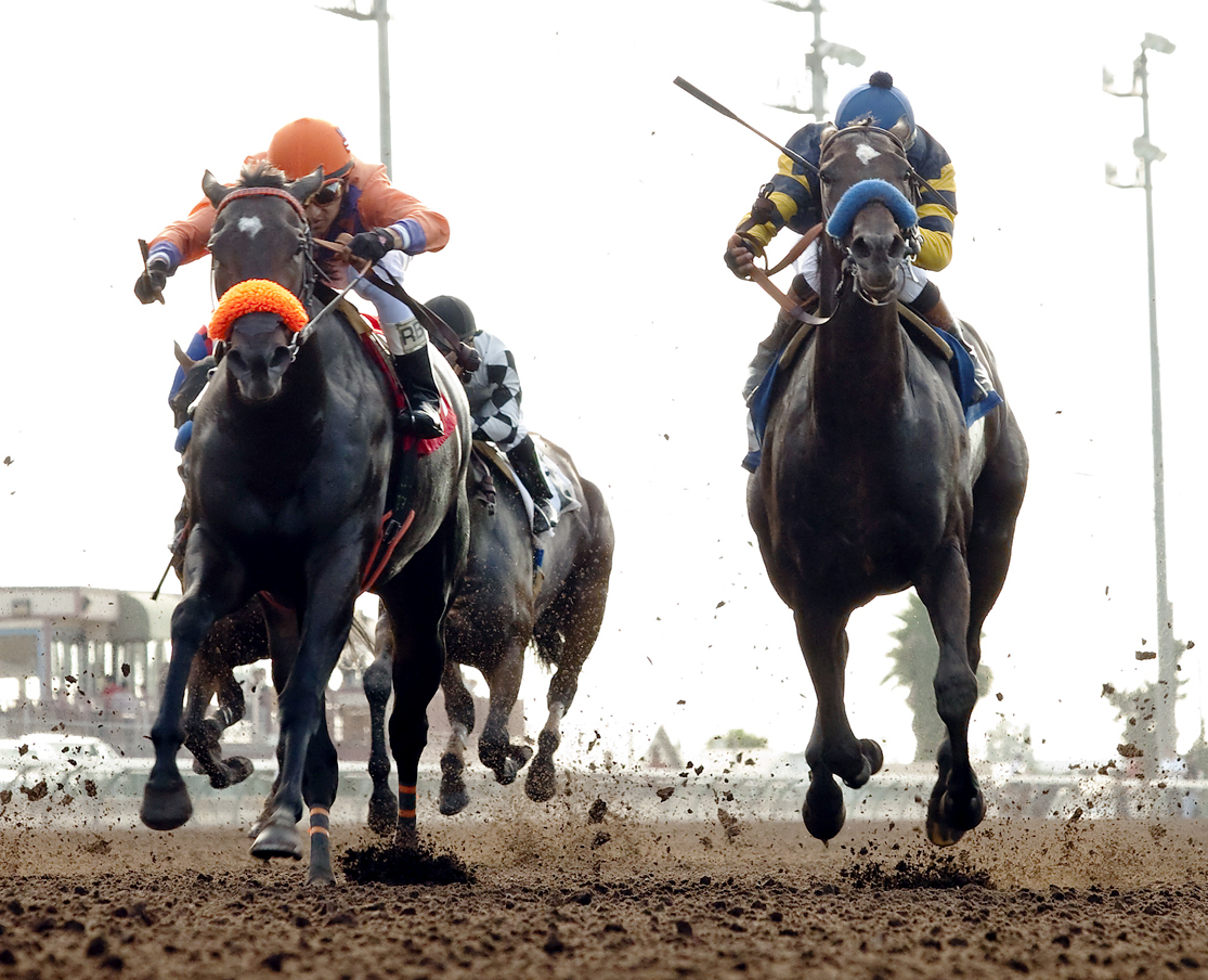 Maker or Breaker finishes second in the Orange County Stakes