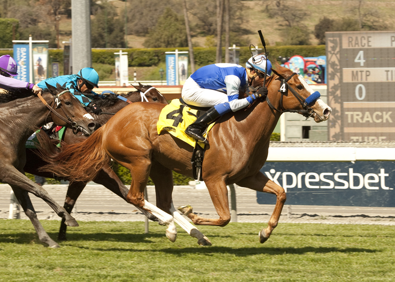 Tribal Spy 3-15-2014