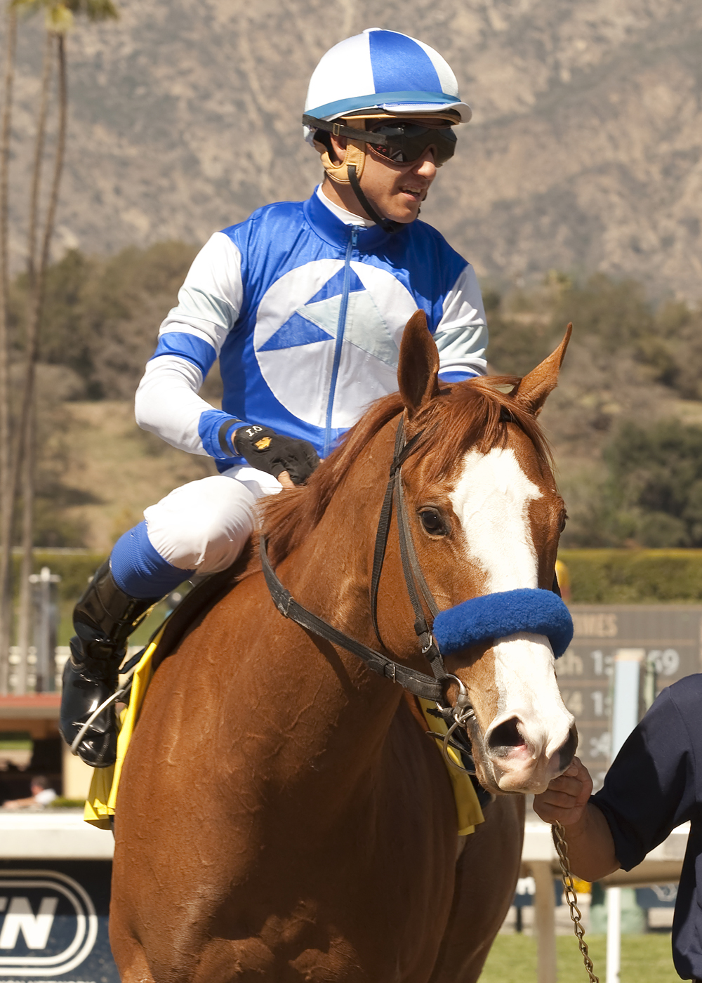 Tribal Spy 3-15-14