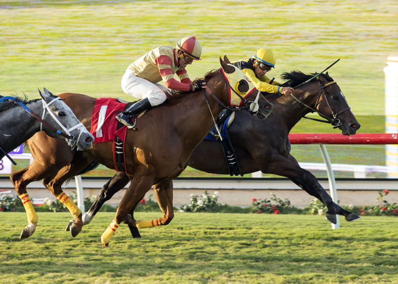 Tribalist wins the Green Flash Handicap