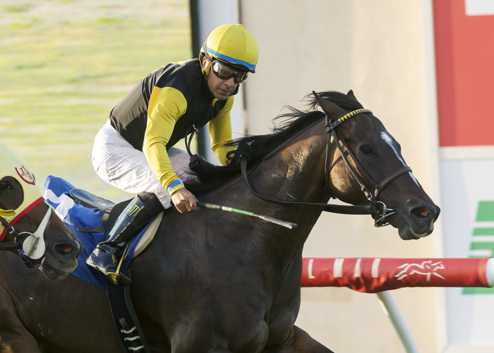 Tribalist wins the 2017 Green Flash Handicap at Del Mar