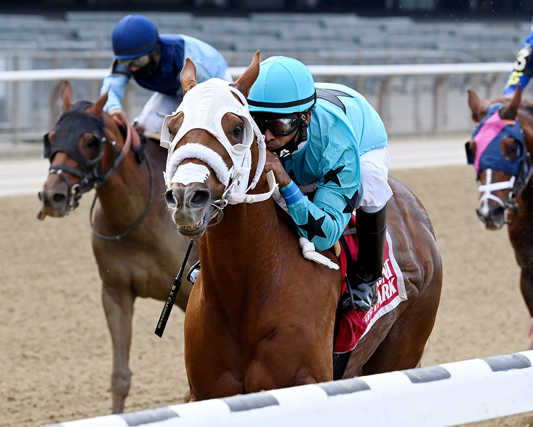 Tribecca wins the 2020 Hudson Handicap at Belmont Park