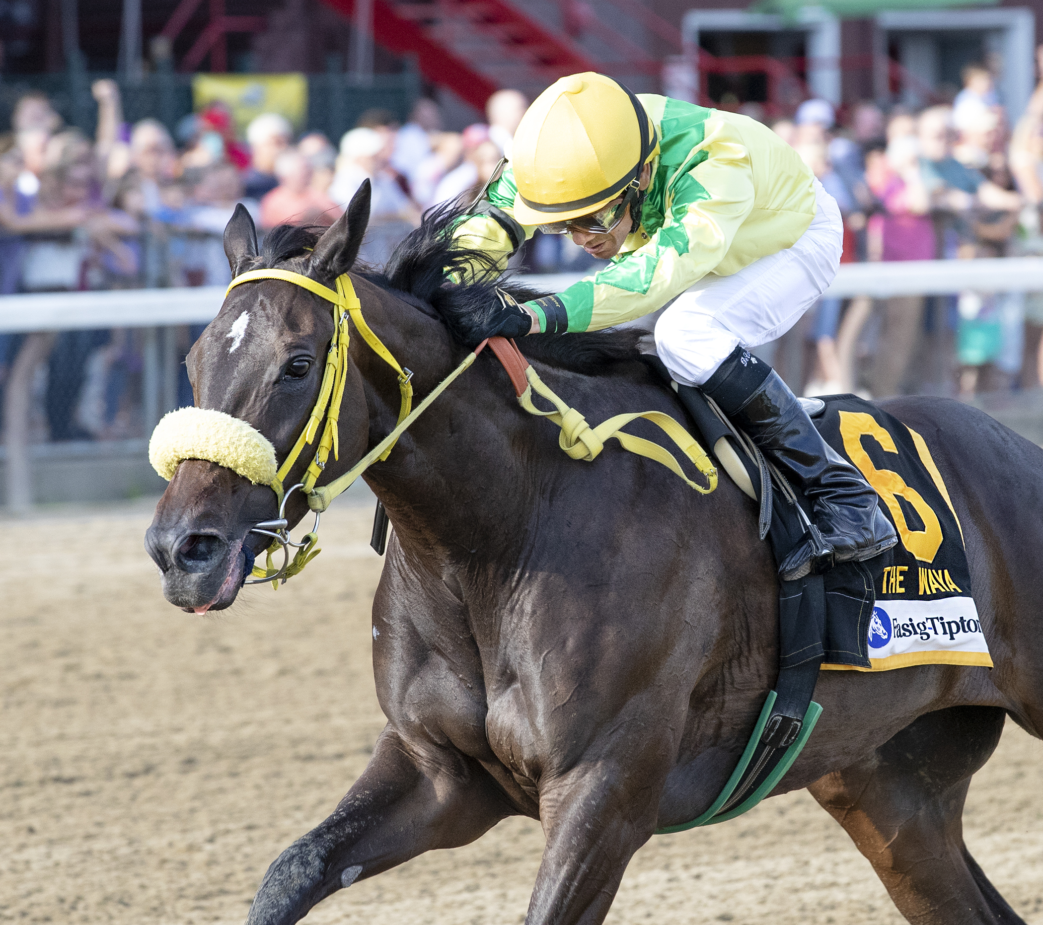 Tricky Escape wins 2018 Waya