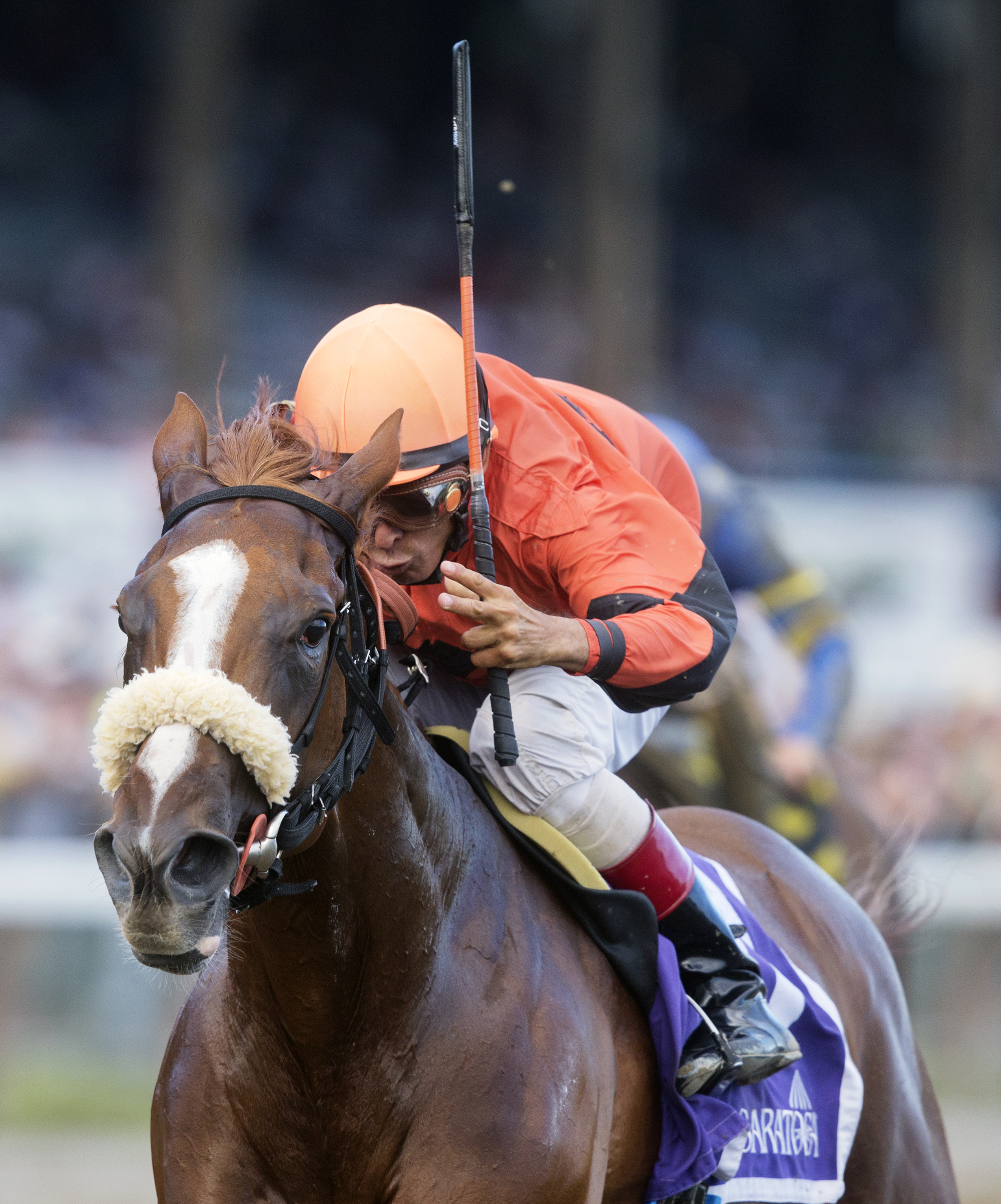 Tricky Zippy 8-20-2015