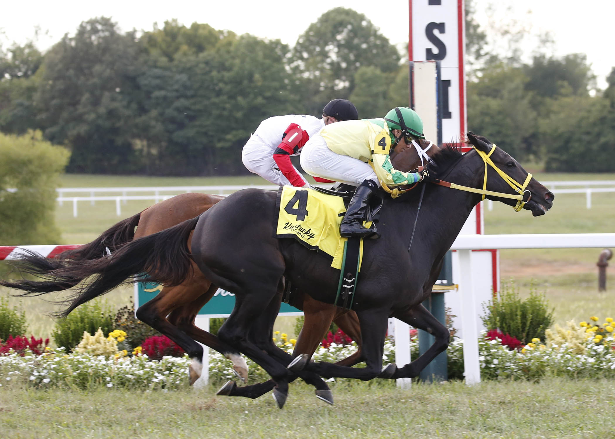 Tricky Escape (No. 4) wins the 2018 Ramsey Farm Stakes