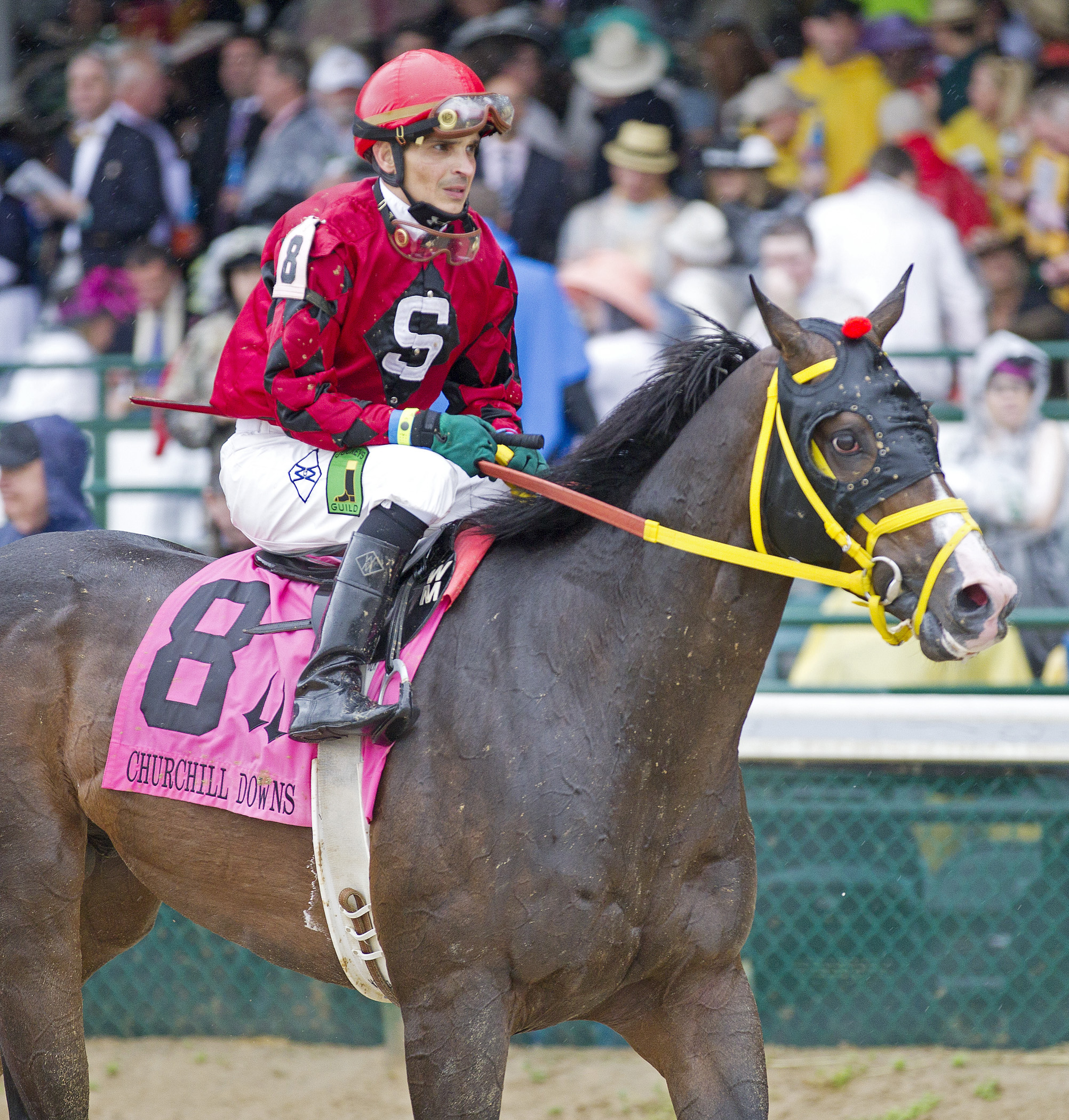 Trinniberg, Churchill Downs Stakes