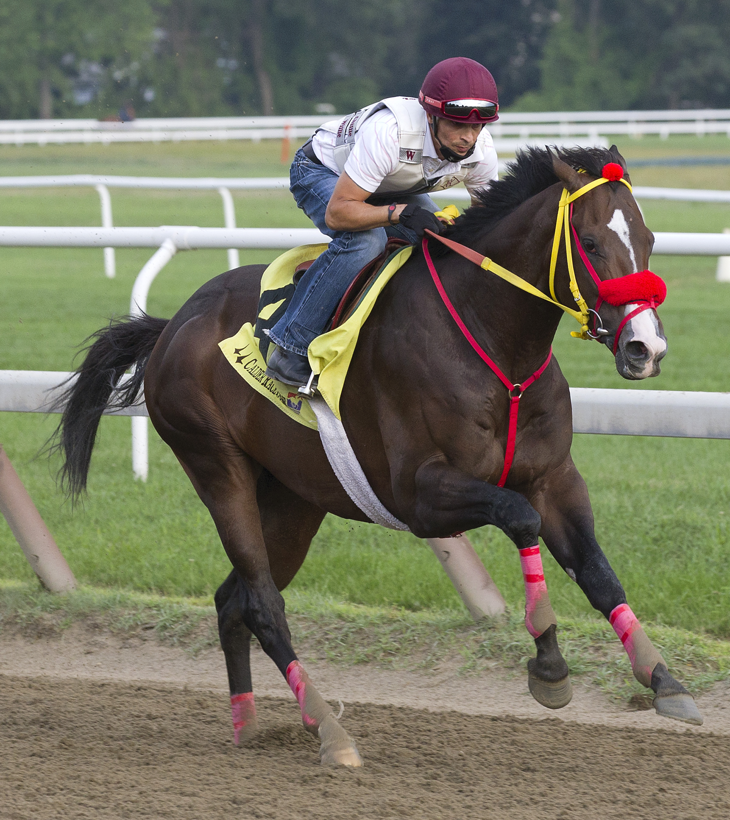 Trinniberg training at Saratoga