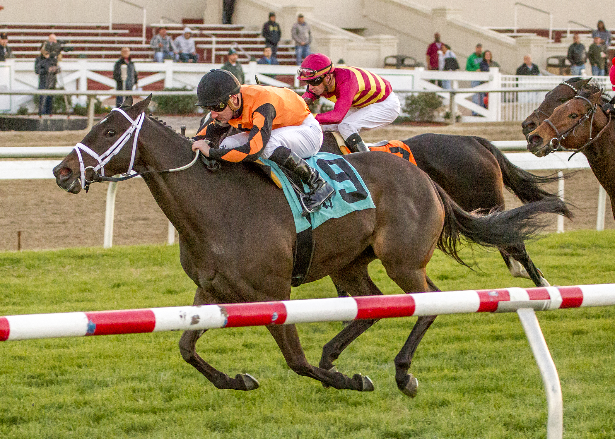 Triple Chelsea wins the 2018 Pan Zareta Stakes