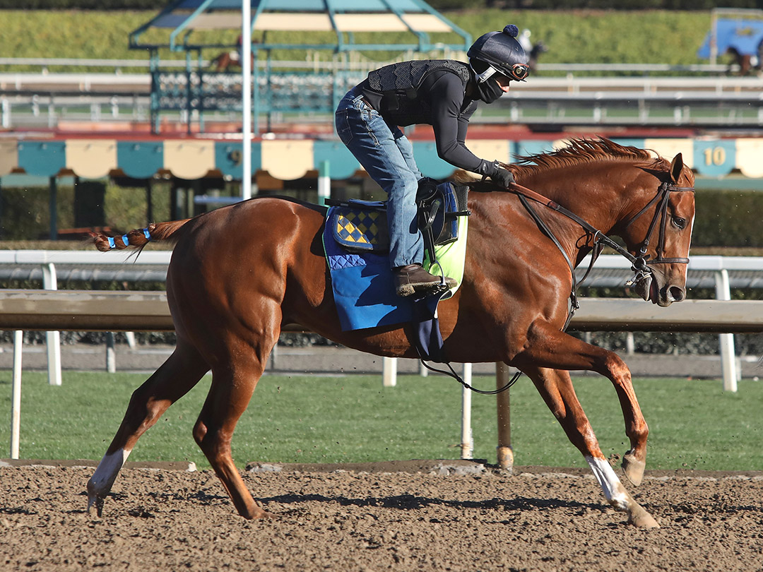 Triple Tap trains at Santa Anita Park on Jan. 30